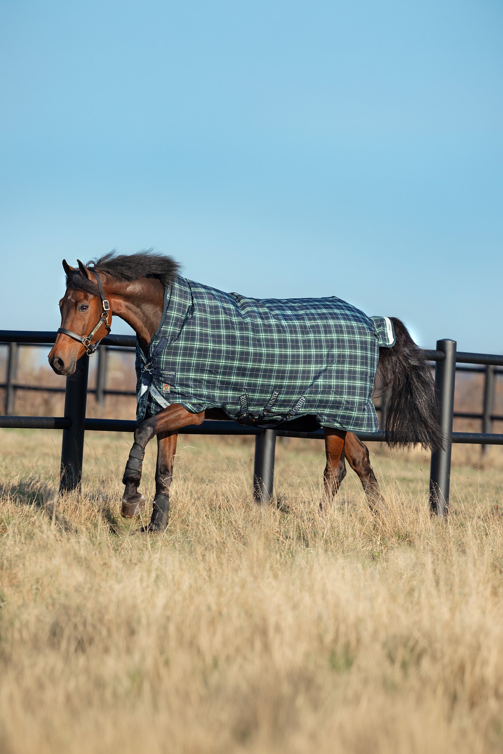 Lifestyle shot 2