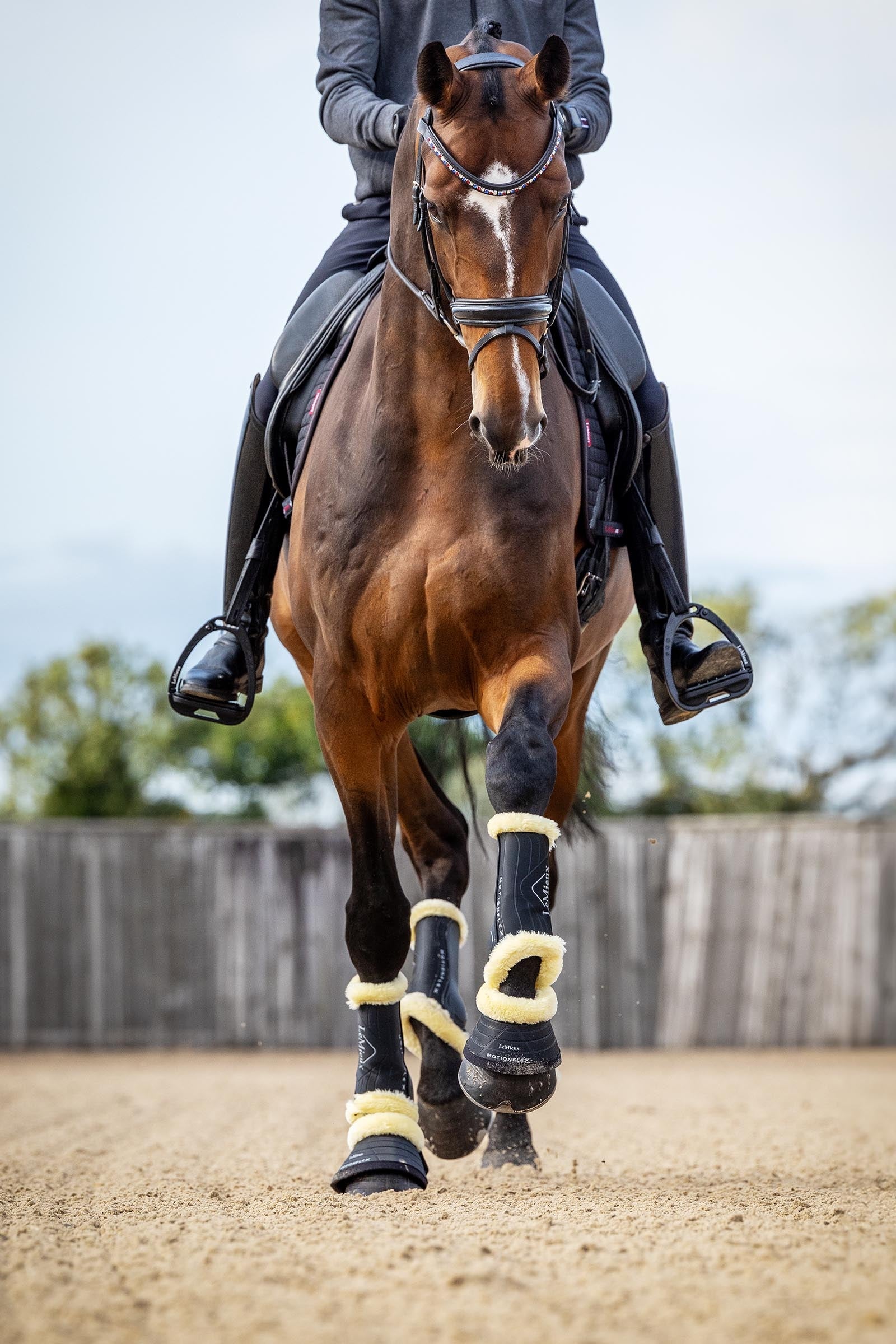 LeMieux Motionflex Dressage Boot with Fleece Edge Leg & Hoof Protection
