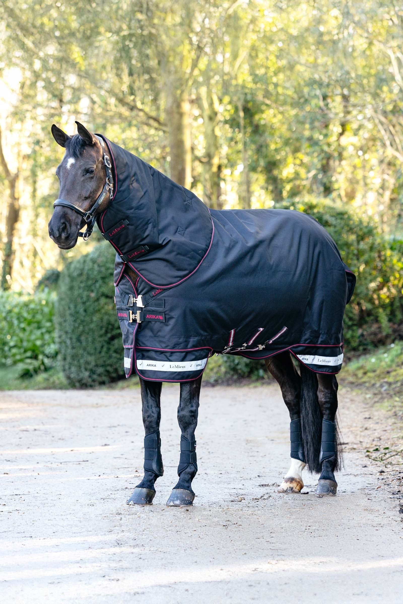 LeMieux Arika Storm-Tek utedekken med avtakbar hals, 200 g Dekken