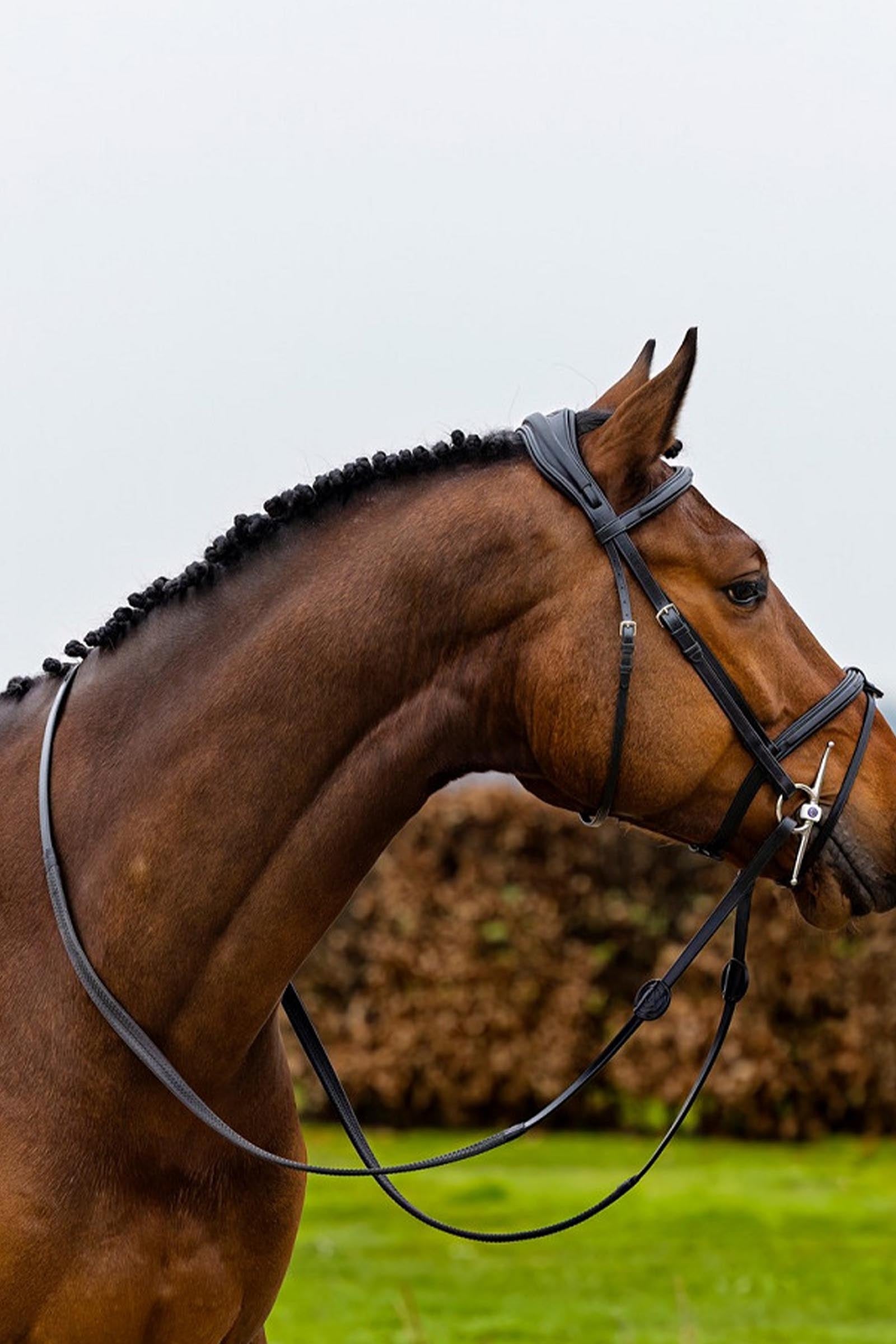 Trust Equestrian Geneva Combined Noseband Bridle Bridles & Reins