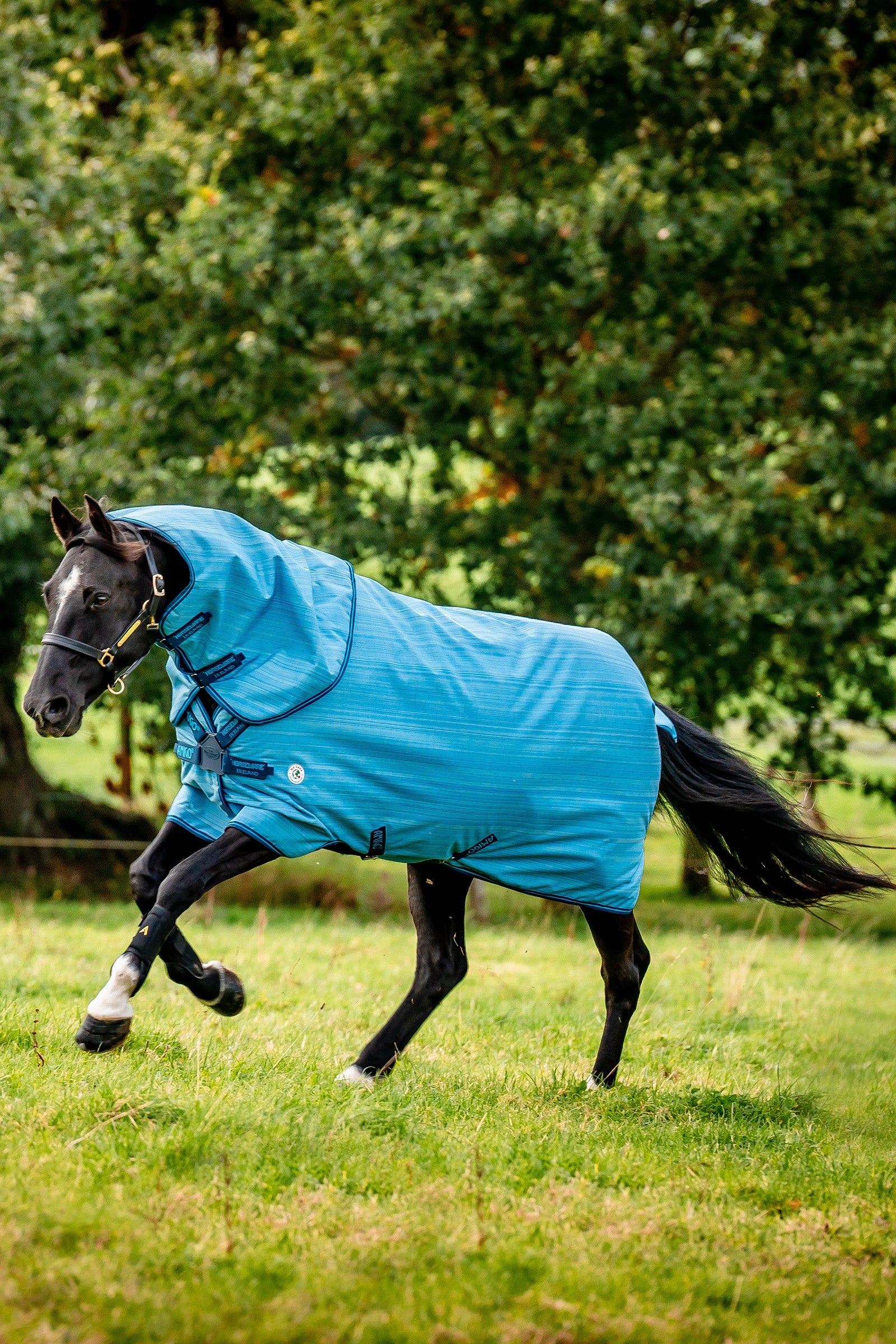 Horseware Amigo Hero 900 Revive Plus Turnout Rug With Detachable Neck, 200 g Horse Rugs