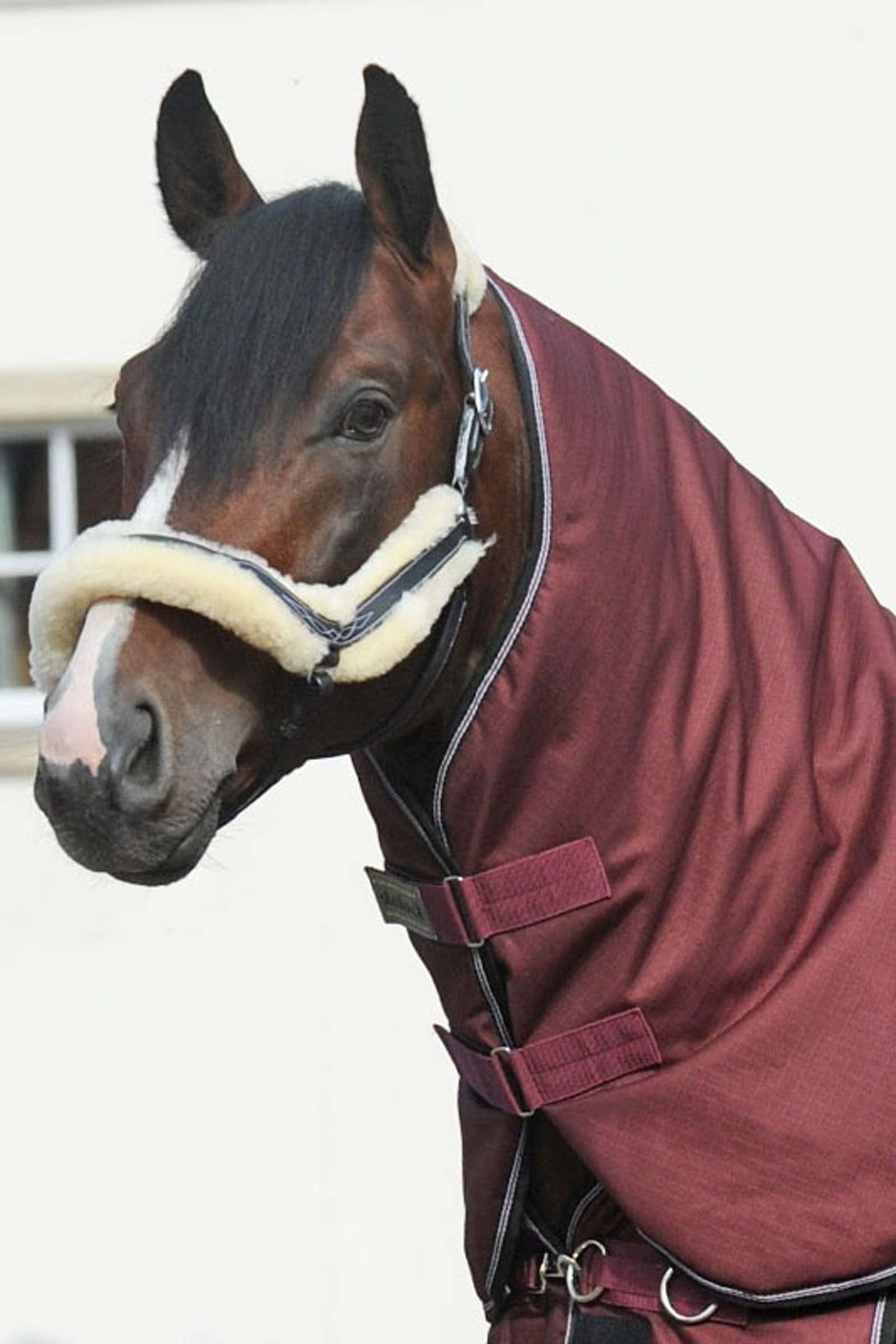 Kavalkade Neck for Alaska IV, 100 g Horse Rugs