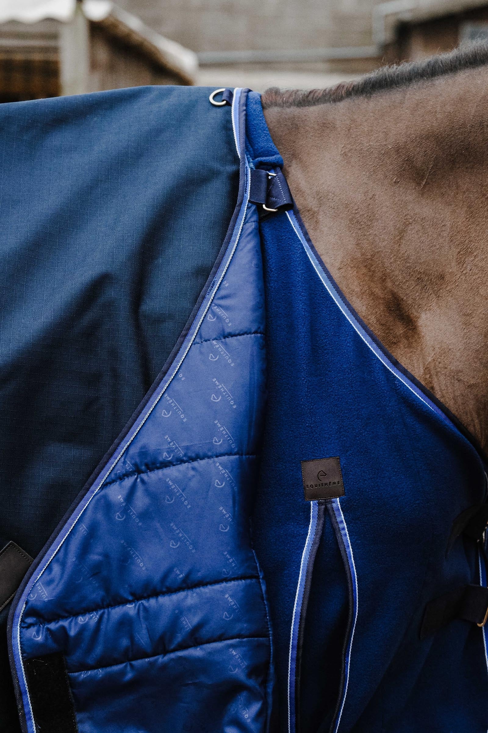 Equi Theme EQUITHÈME Classic 1200D Turnout Rug, 50 g Horse Rugs