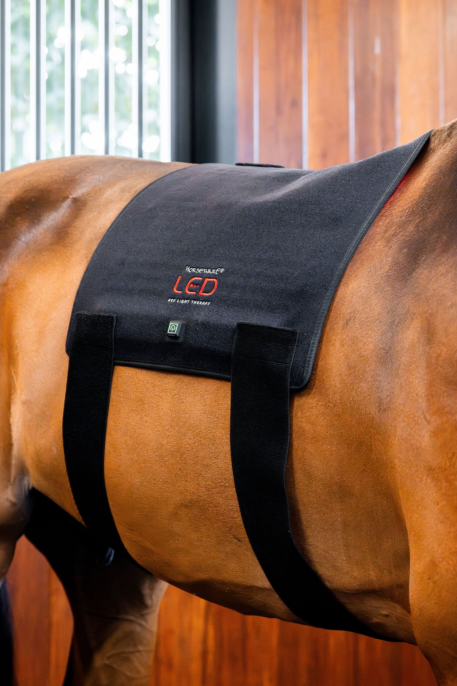 Horseware LED rødt lys terapi Pad Dekken