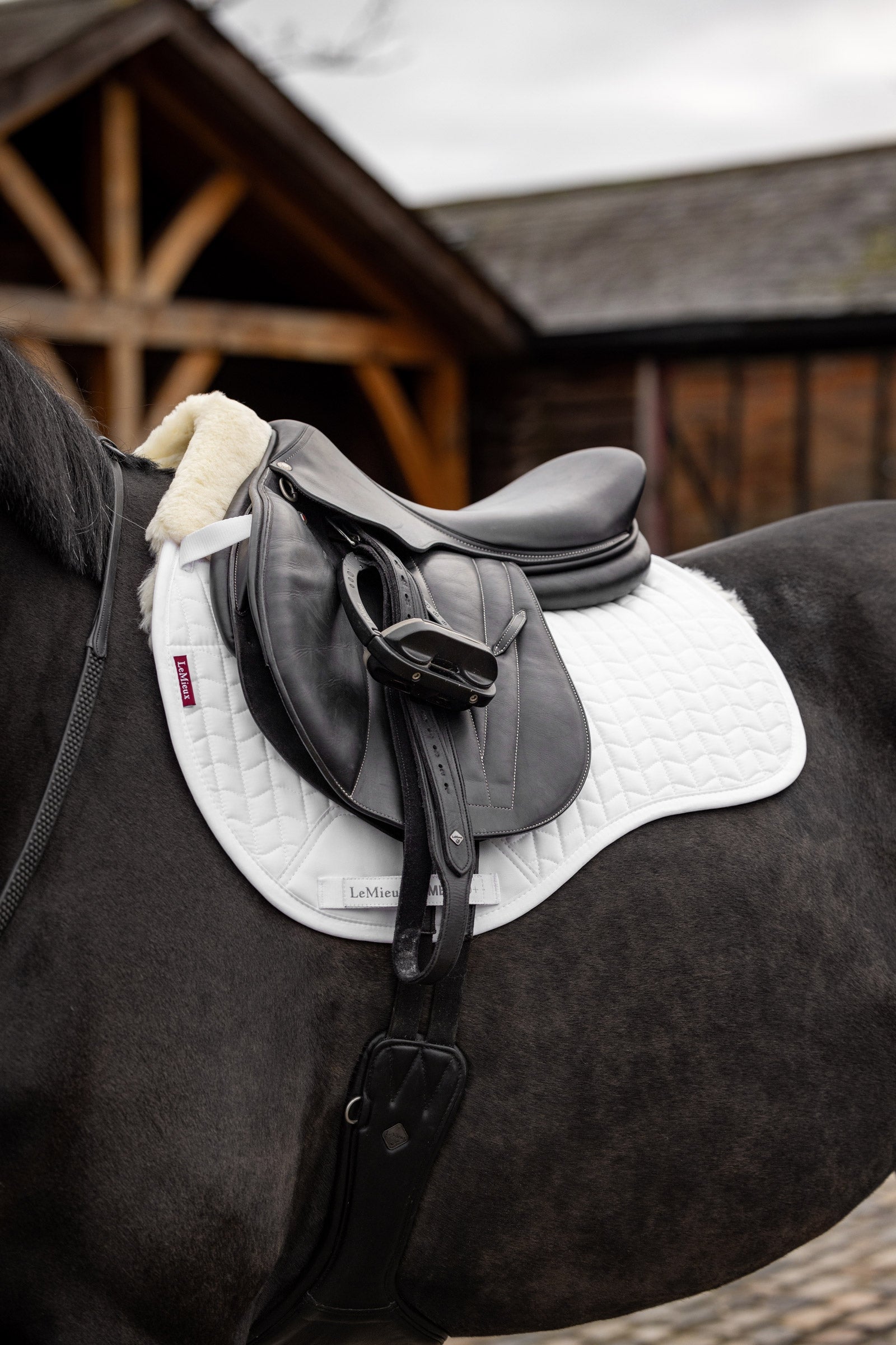 LeMieux Merino+ Pad, half lined, GP Saddle Pads