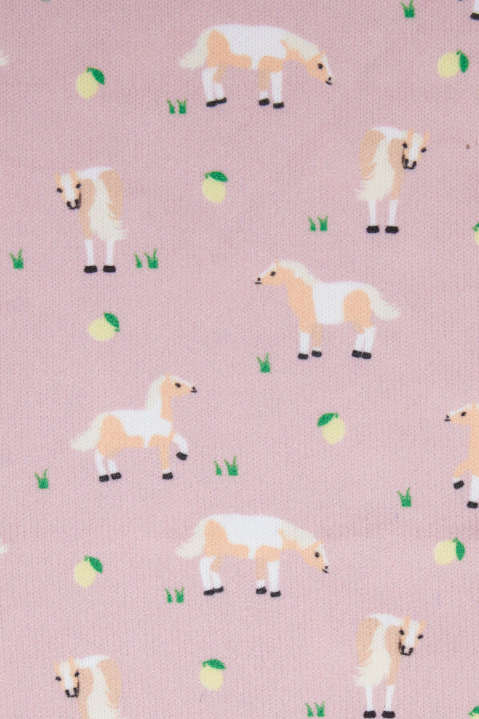 LeMieux Footsie Socks Socks