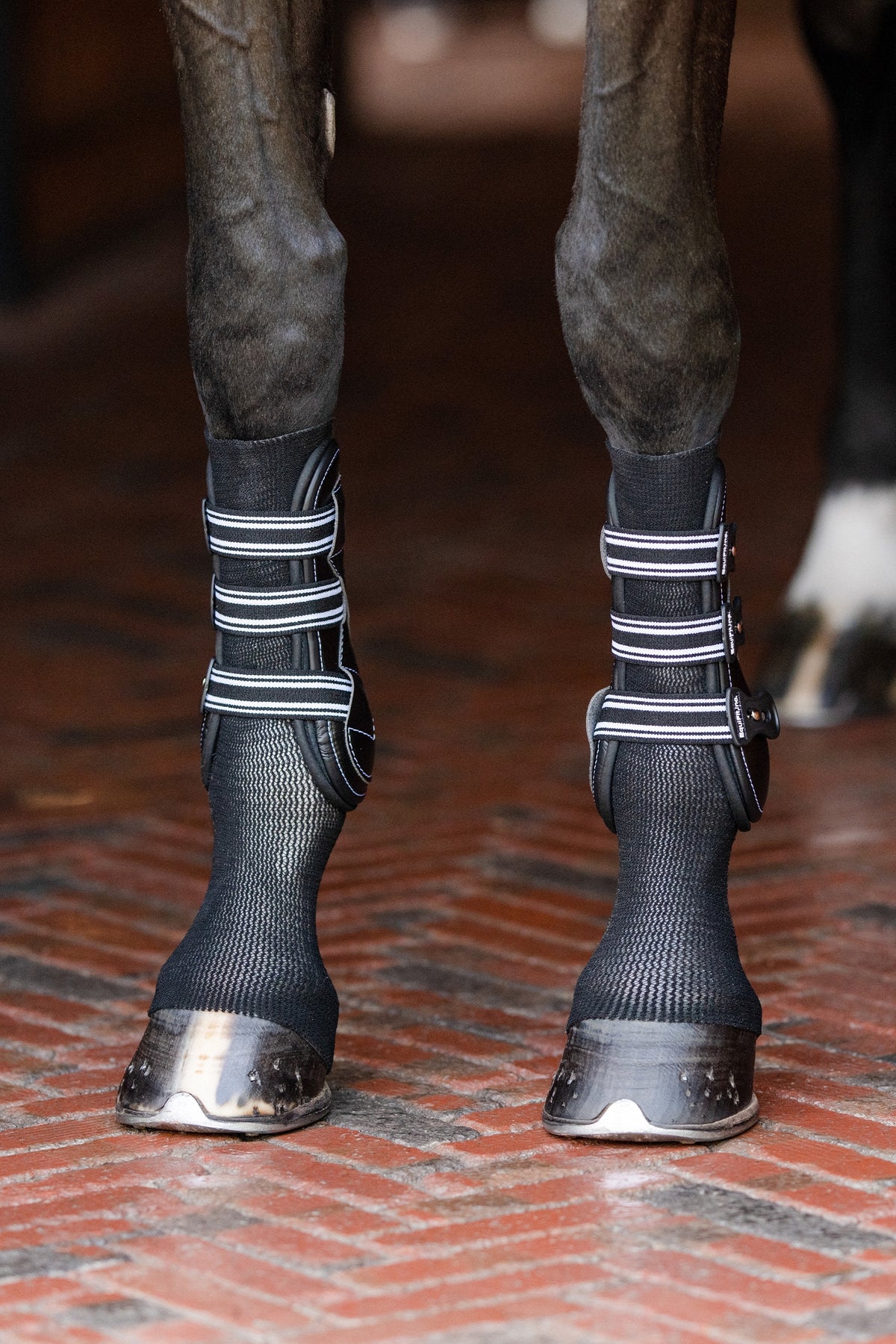 EquiFit GelSox™ Leg & Hoof Protection