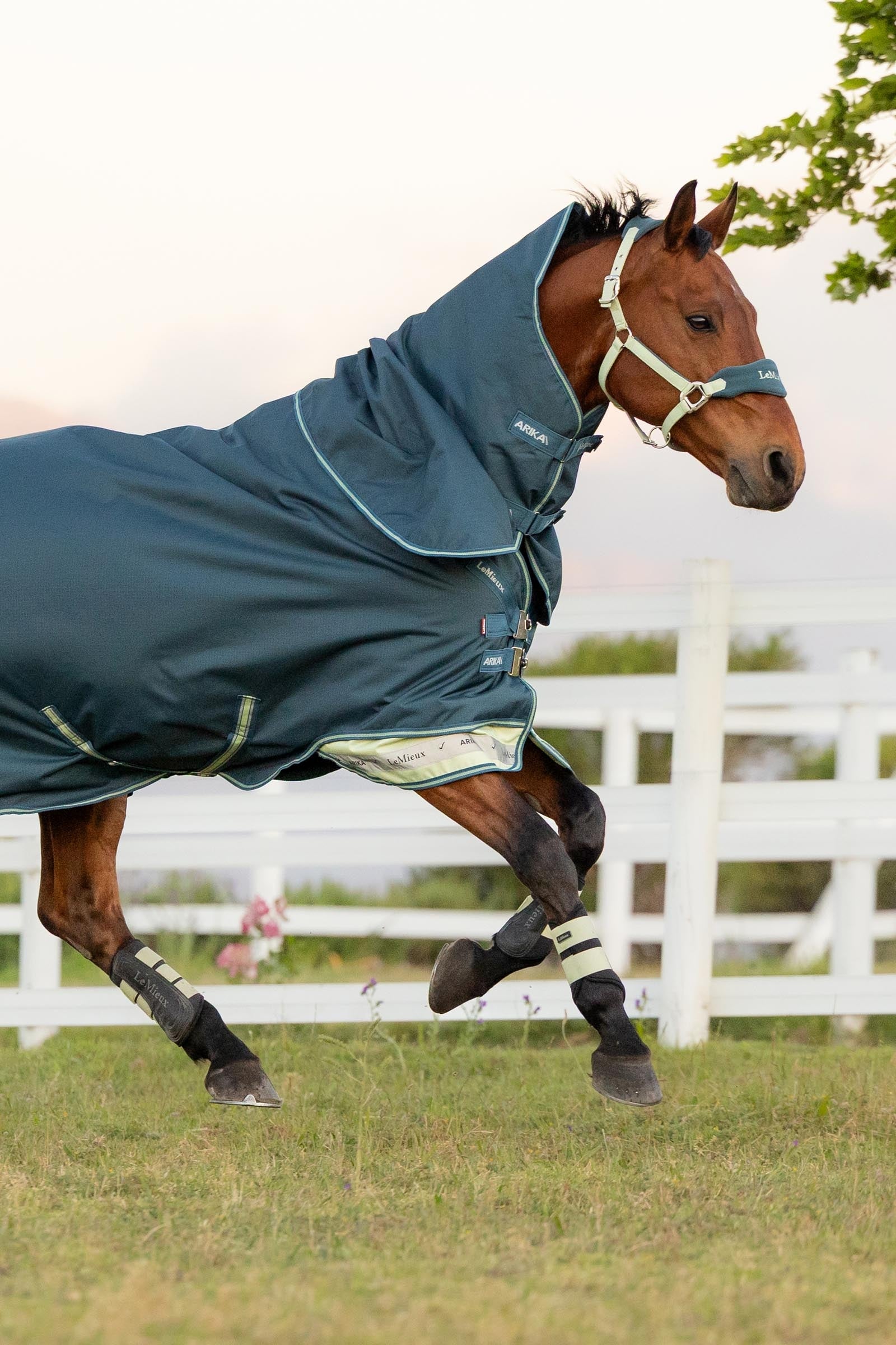 LeMieux Arika Ripstop Turnout Rug With Detachable Neck, 50g Horse Rugs
