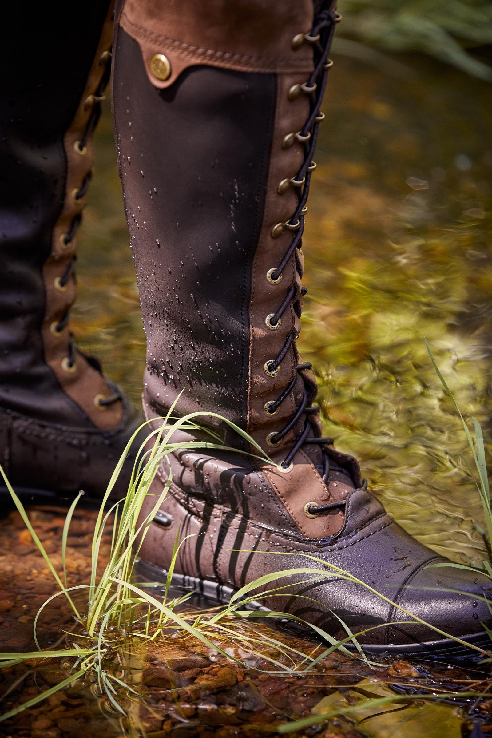 Ariat Coniston Max Waterproof Insulated Womens's Boots Riding Boots & Riding Shoes