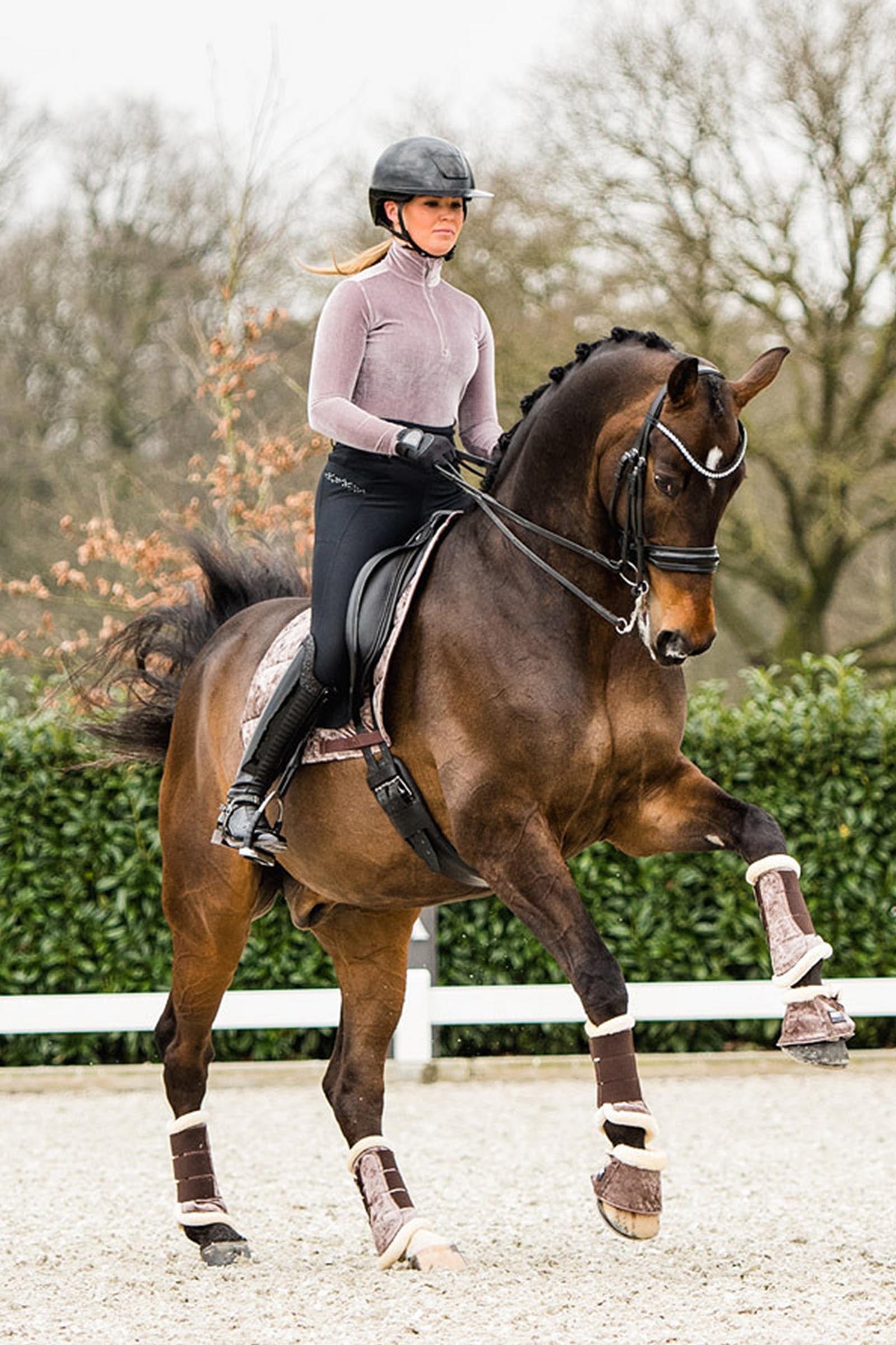 Anky ANKY Jubilee Proficient Boots Leg & Hoof Protection