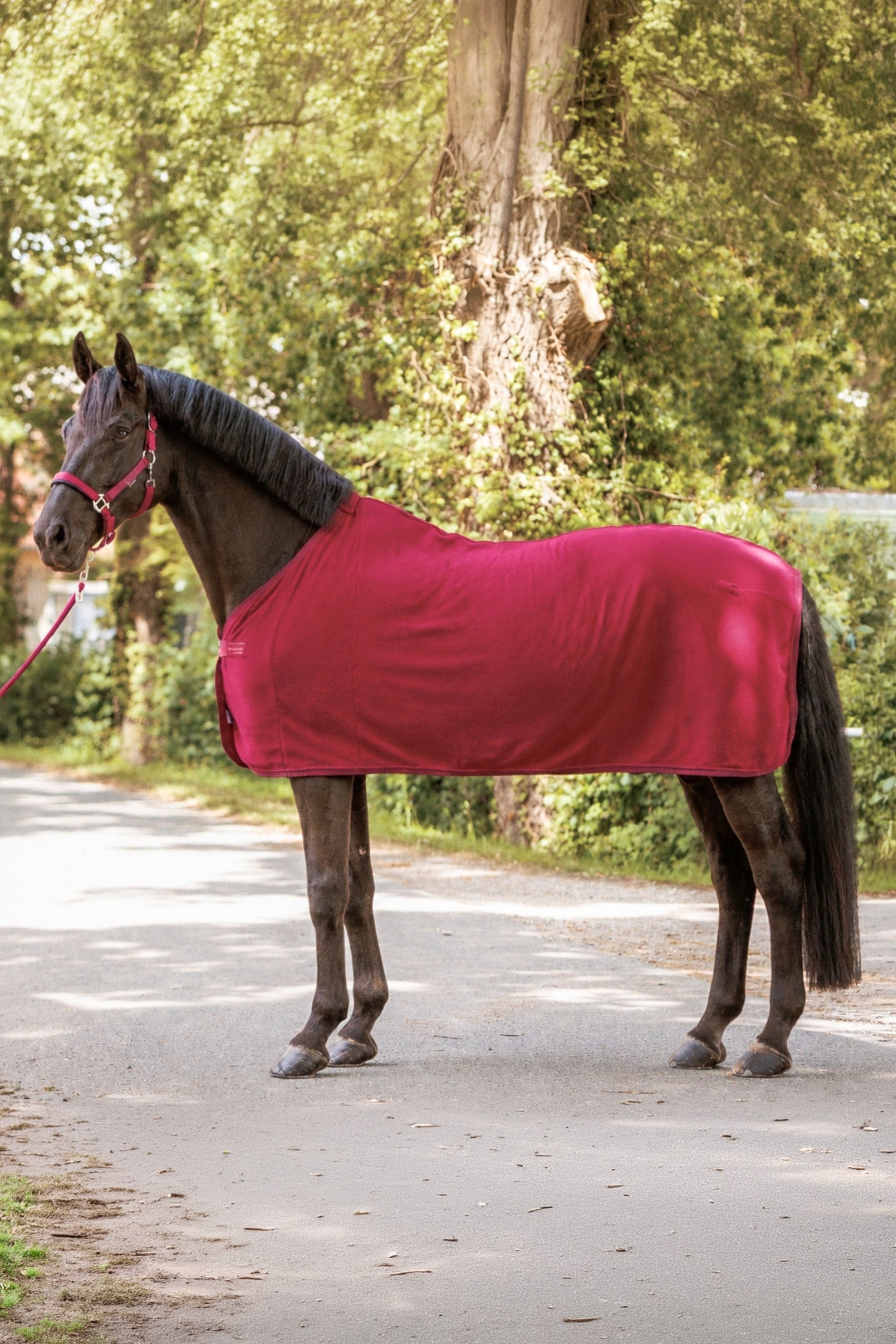 Kavalkade Noble Fleece Cooler Rug Horse Rugs