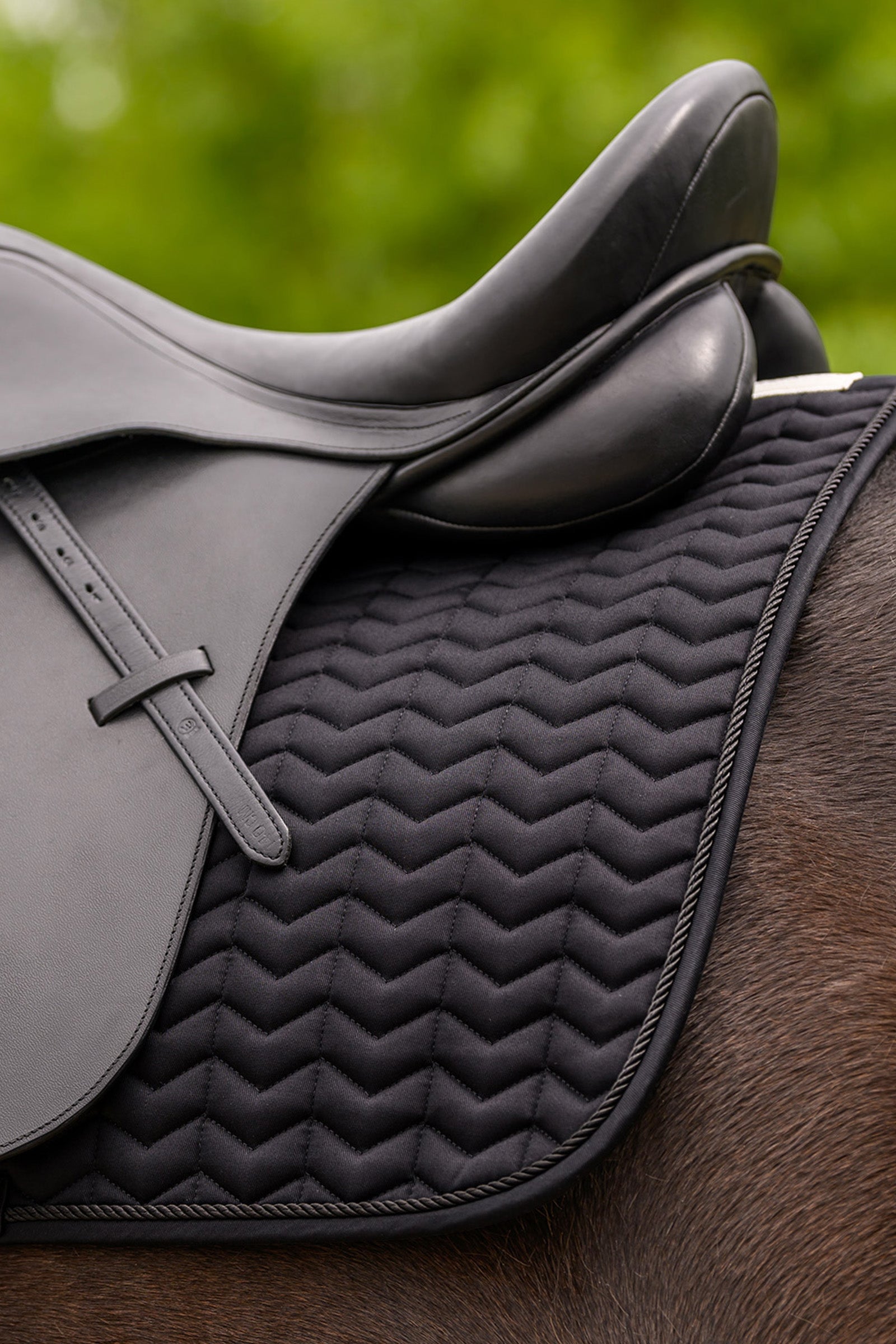 Waldhausen Classic All Purpose Saddle Pad Saddle Pads