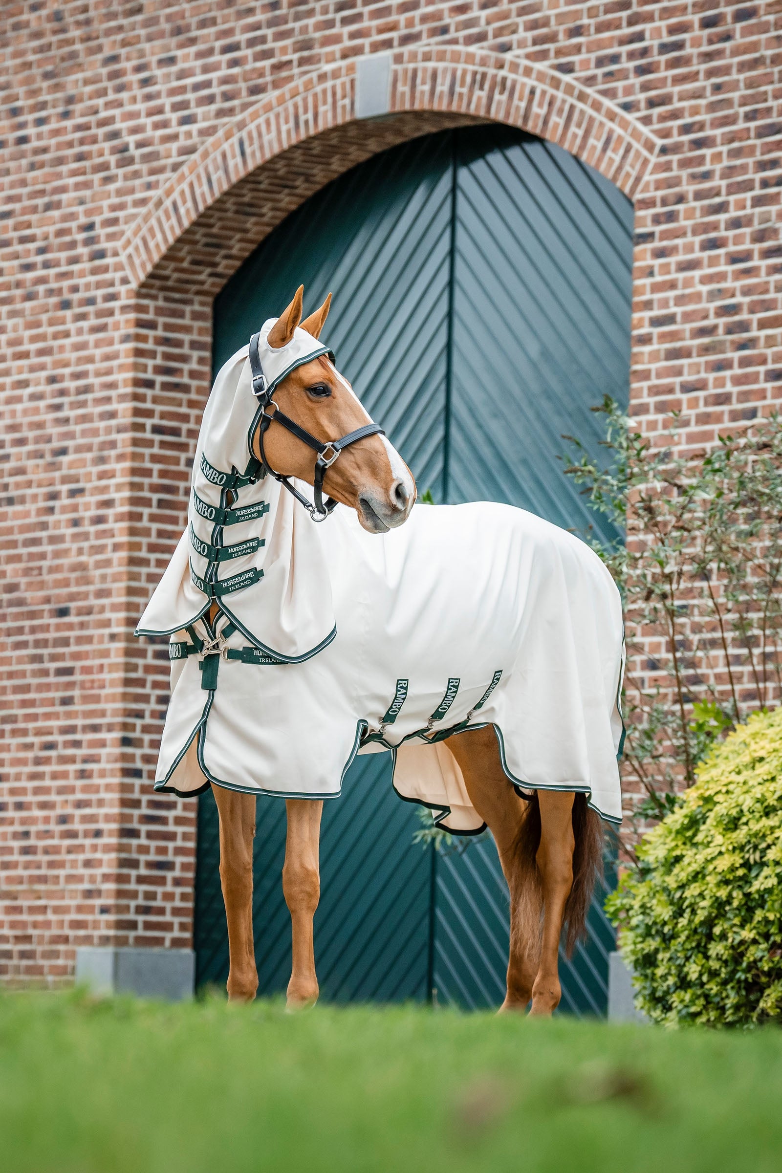 Horseware Rambo Hoody Dekken