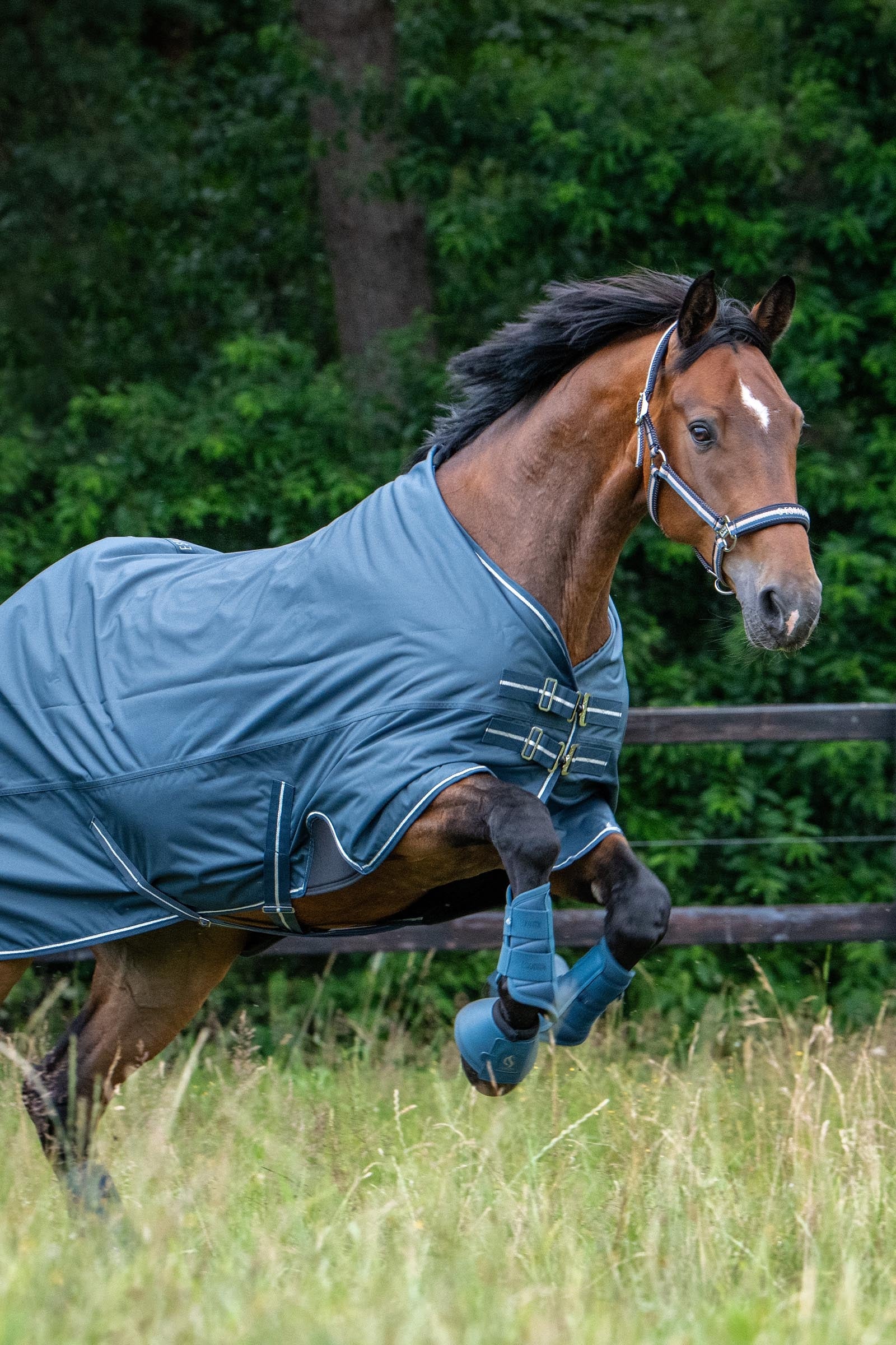 Eskadron Classic Sport SS26 Softslate Bell Boots Leg Protection & Hoof Protection for Horses