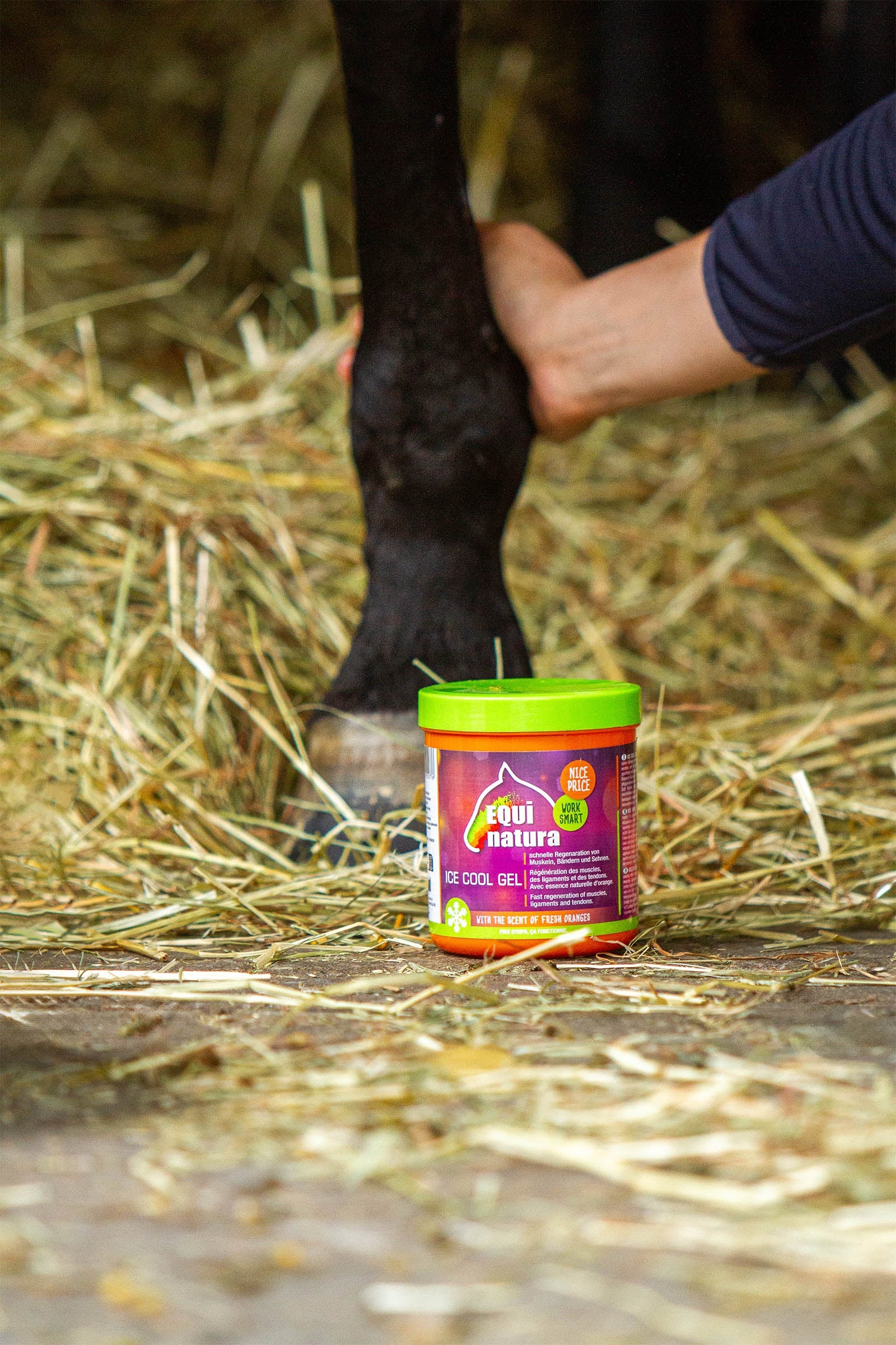 Equinatura Ice Cool Gel, 600 ml Horse Health Care