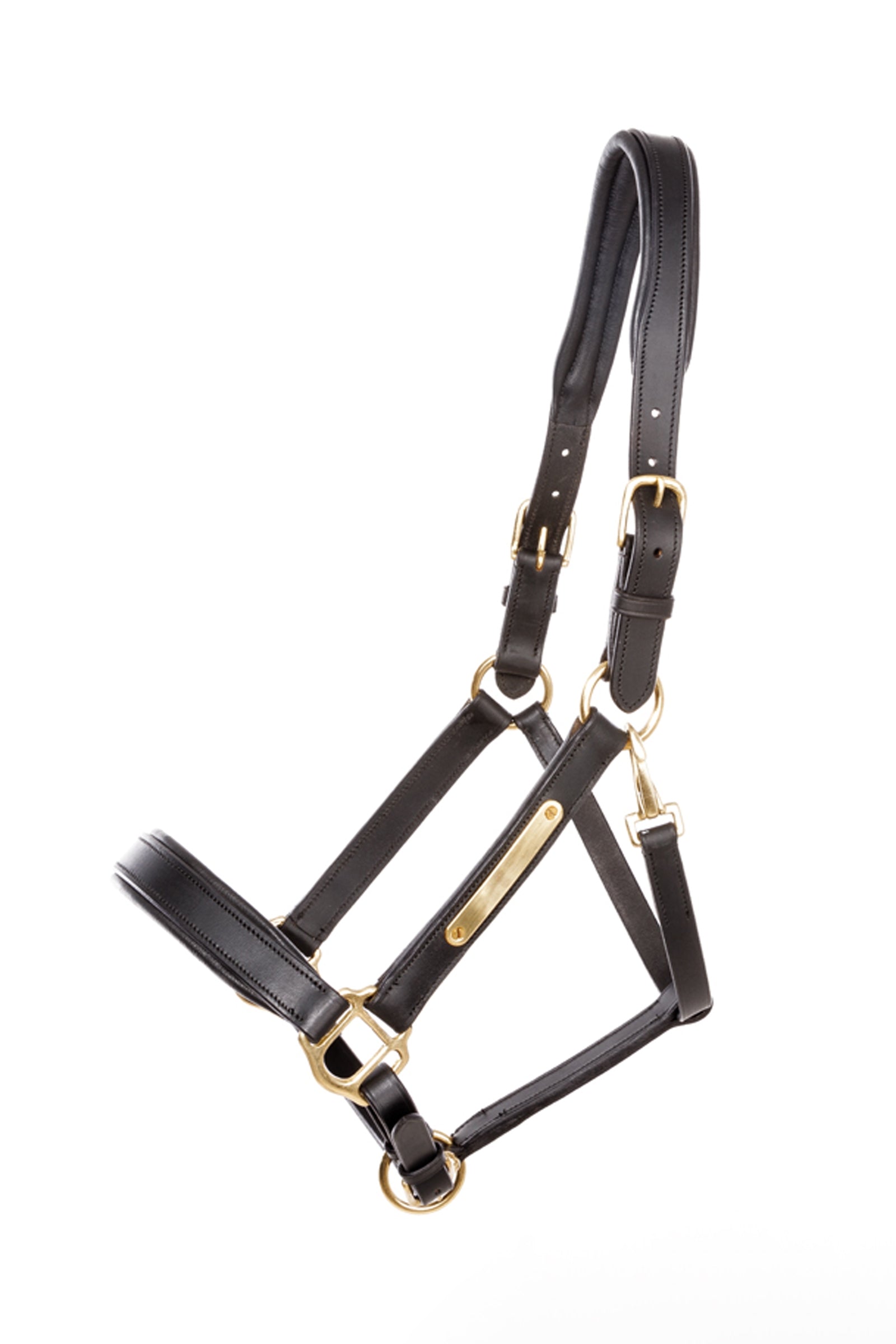 Kavalkade Leather halter Cinta Halters & Leads