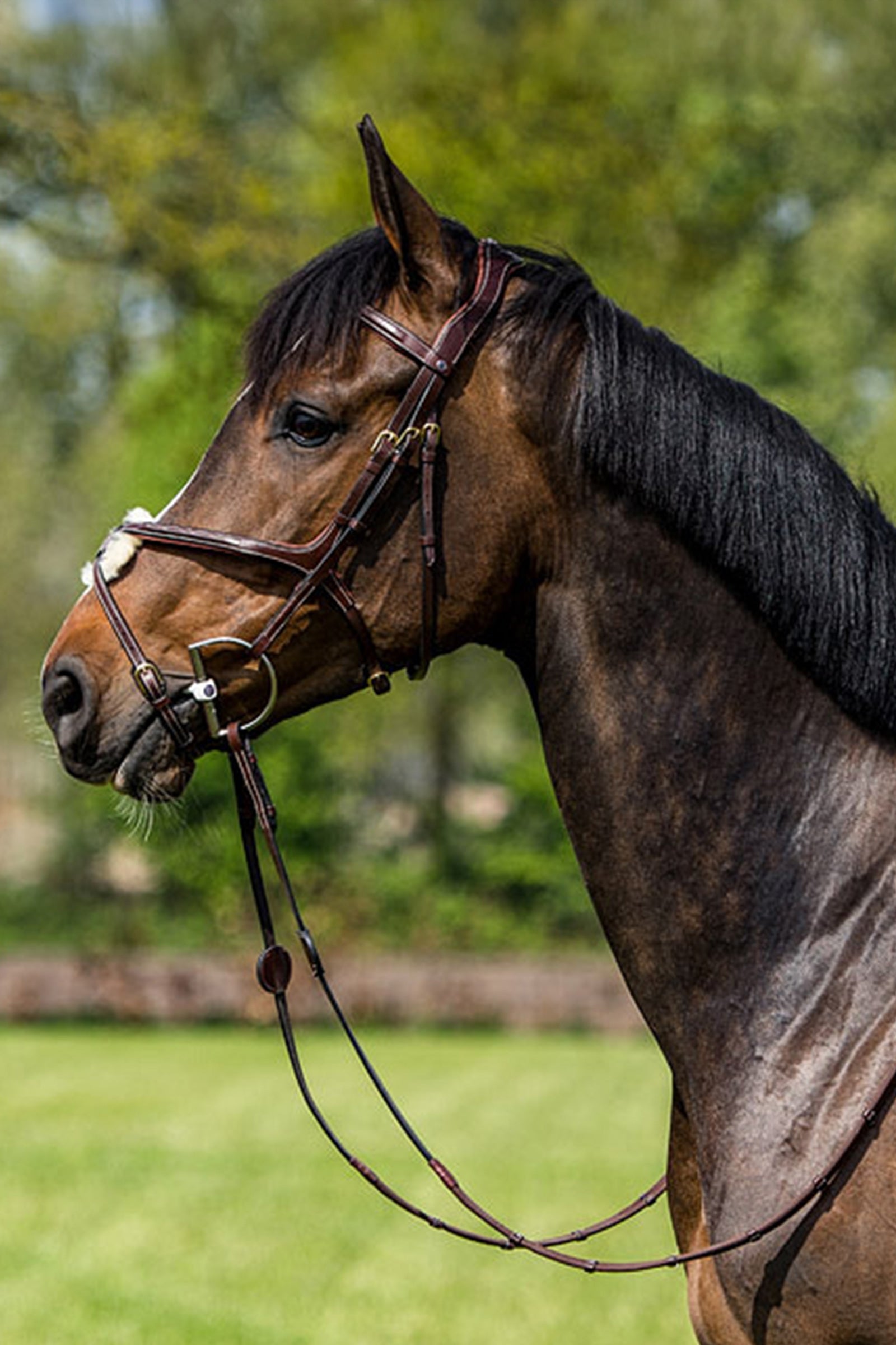 Trust Equestrian Oslo Mexican Noseband Bridle Bridles & Reins