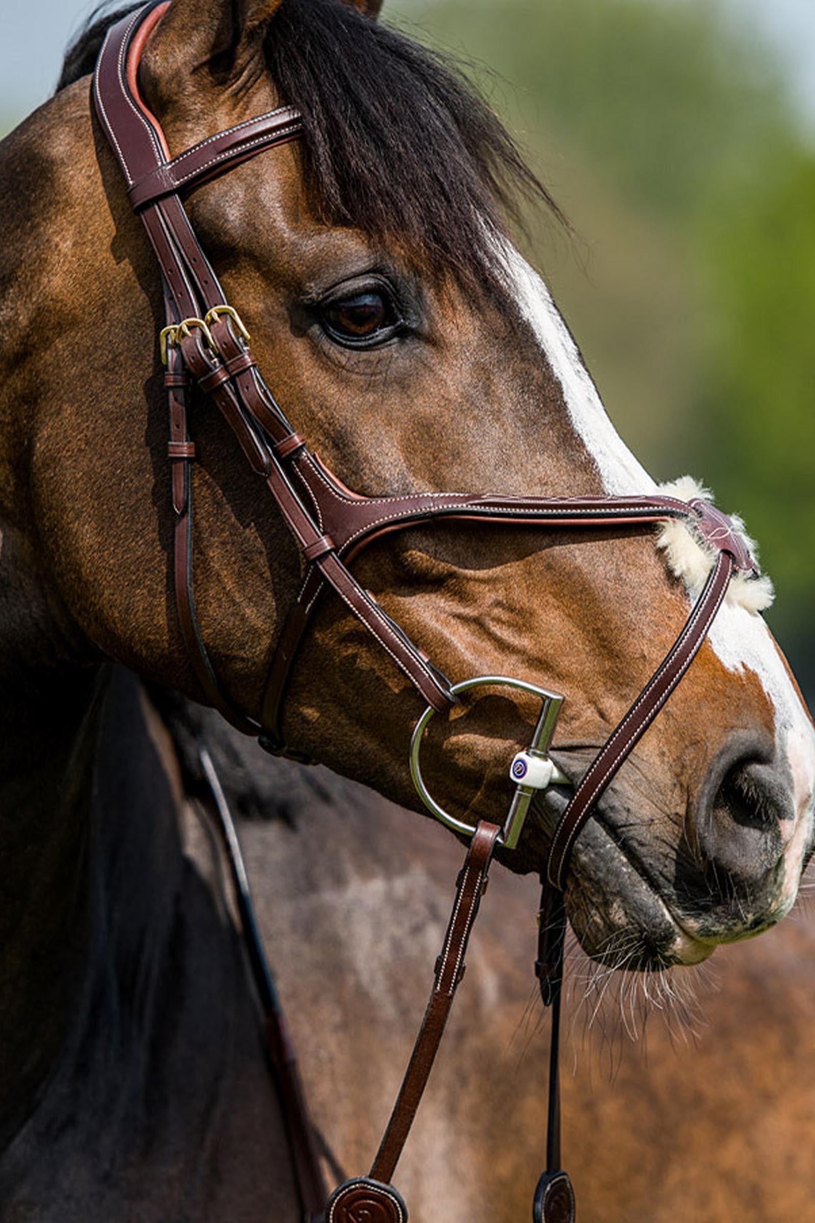 Trust Equestrian Oslo Mexican Noseband Bridle Bridles & Reins