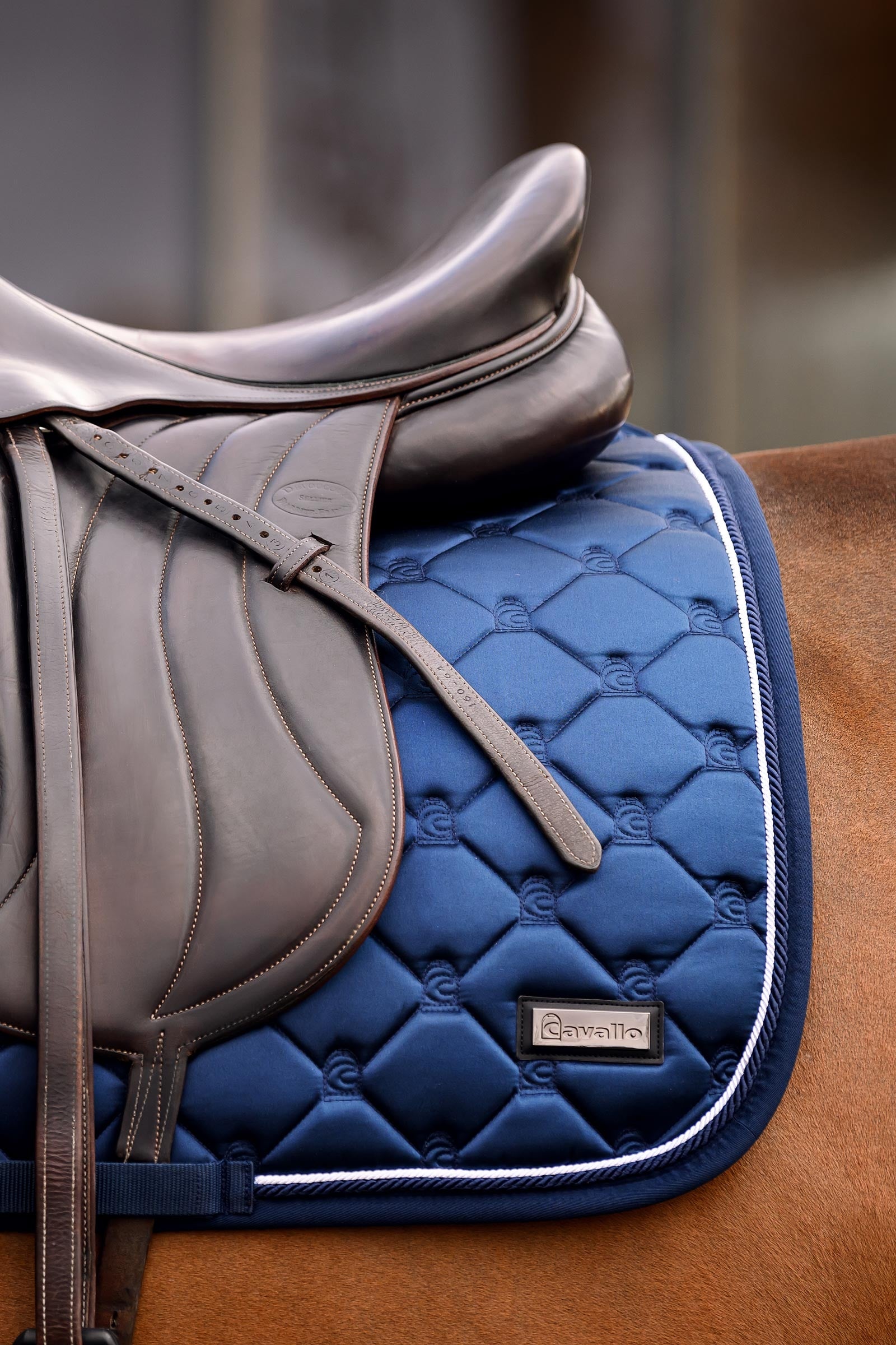 Cavallo Cavalhanaya Dressage Pad Saddle Pads