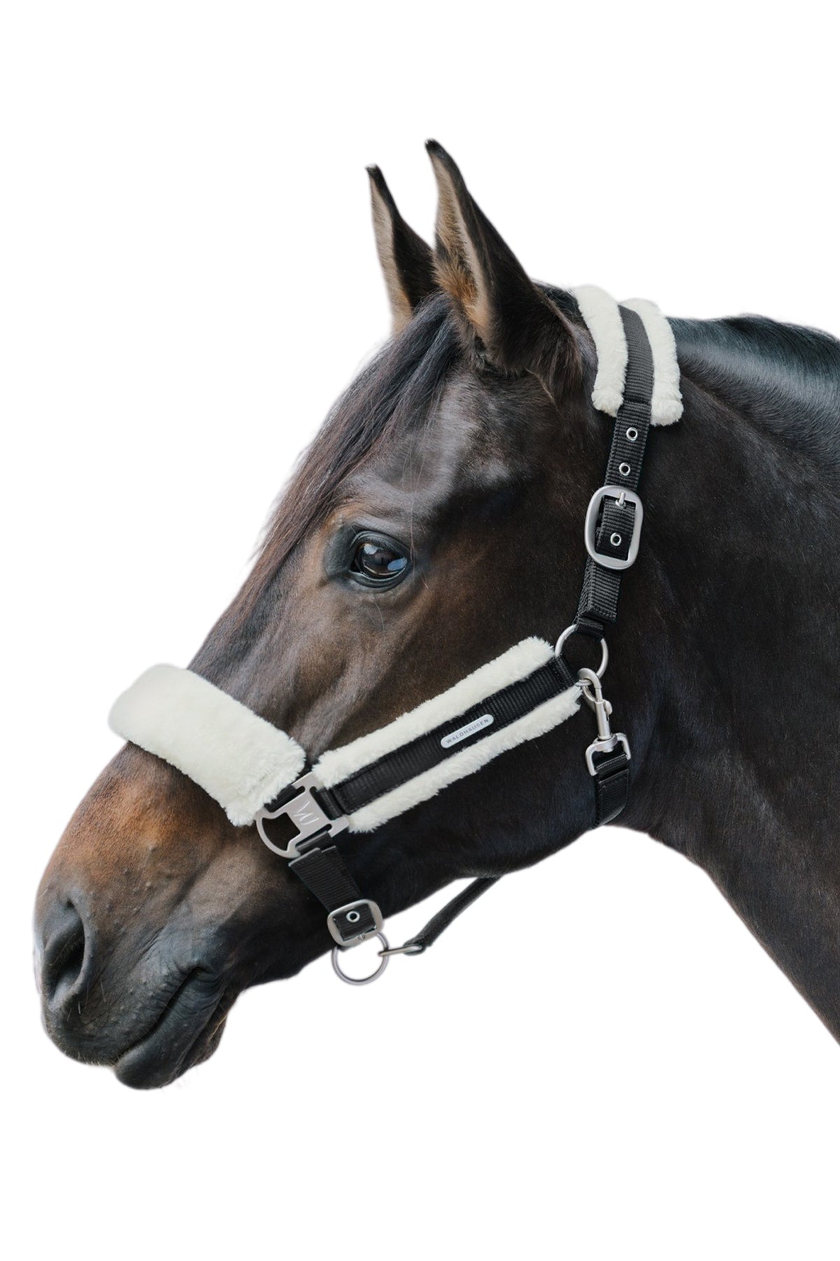 Waldhausen Soft Halter Halters & Leads