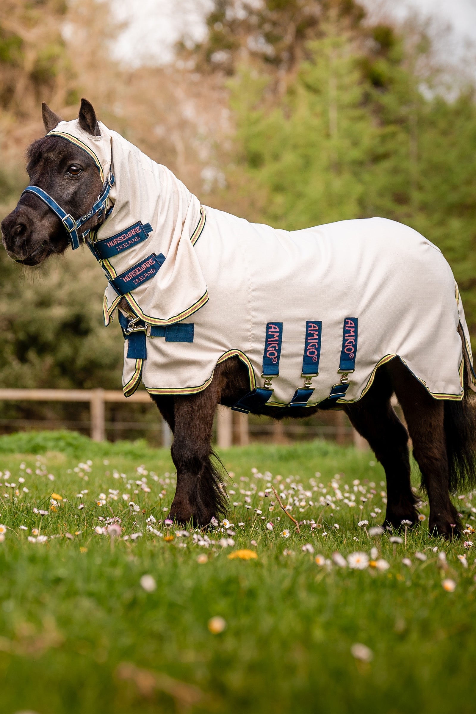 Horseware Amigo Ripstop Hoody Petite, fluedekken Dekken