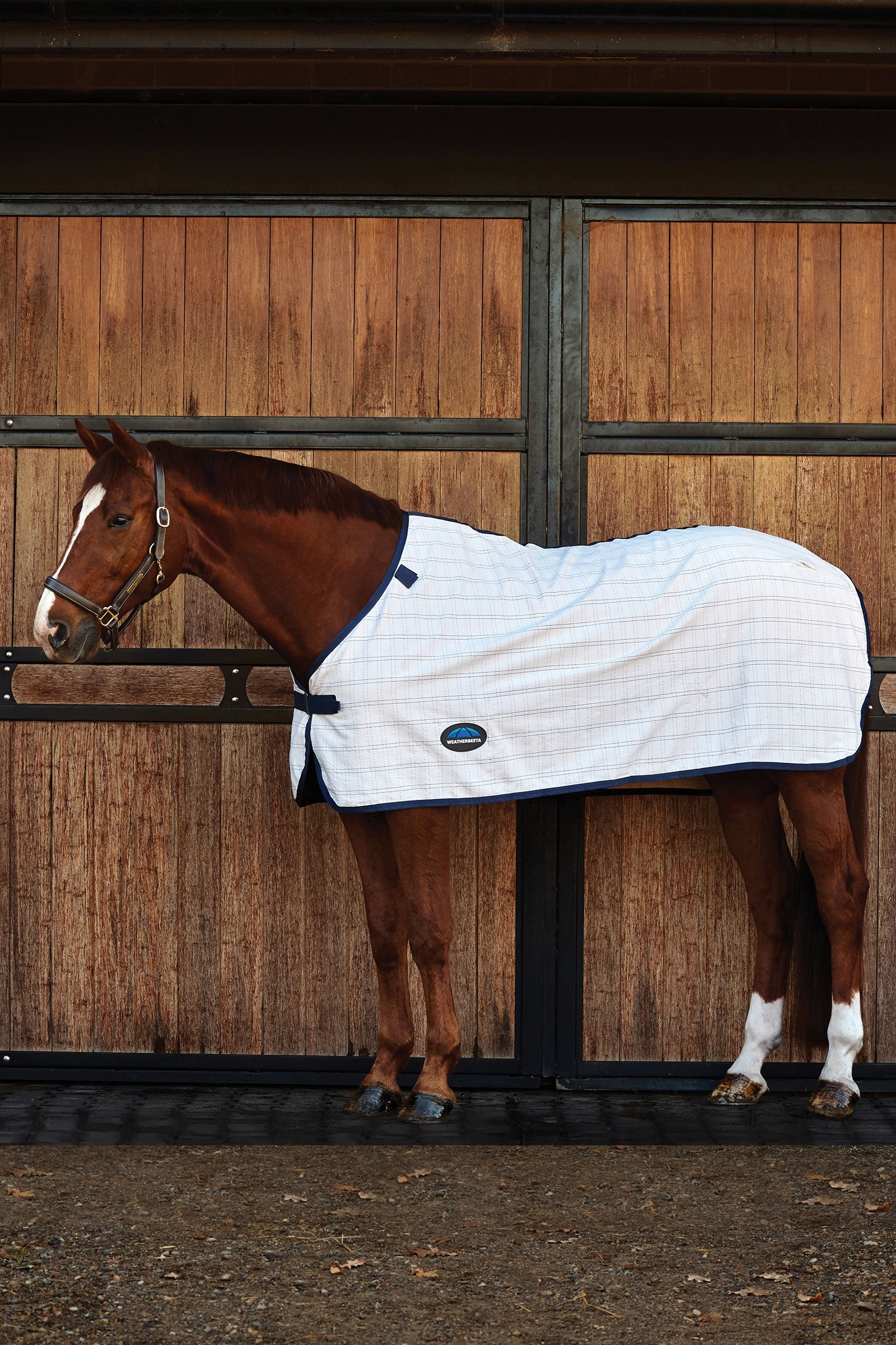 Weatherbeeta ComFiTec Cotton-Liner Dekken
