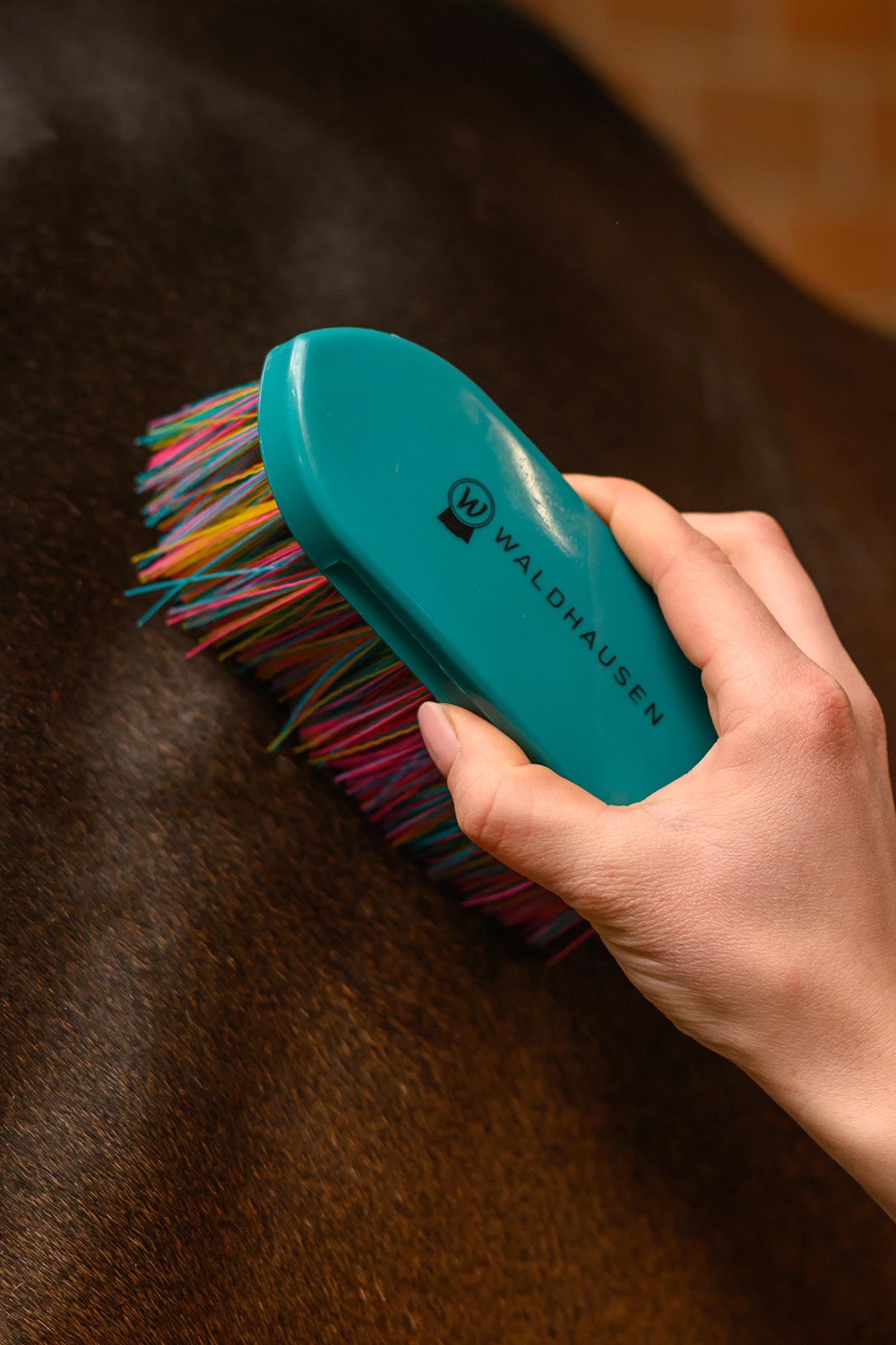 Waldhausen Rainbow Body Brush Horse Grooming Tools