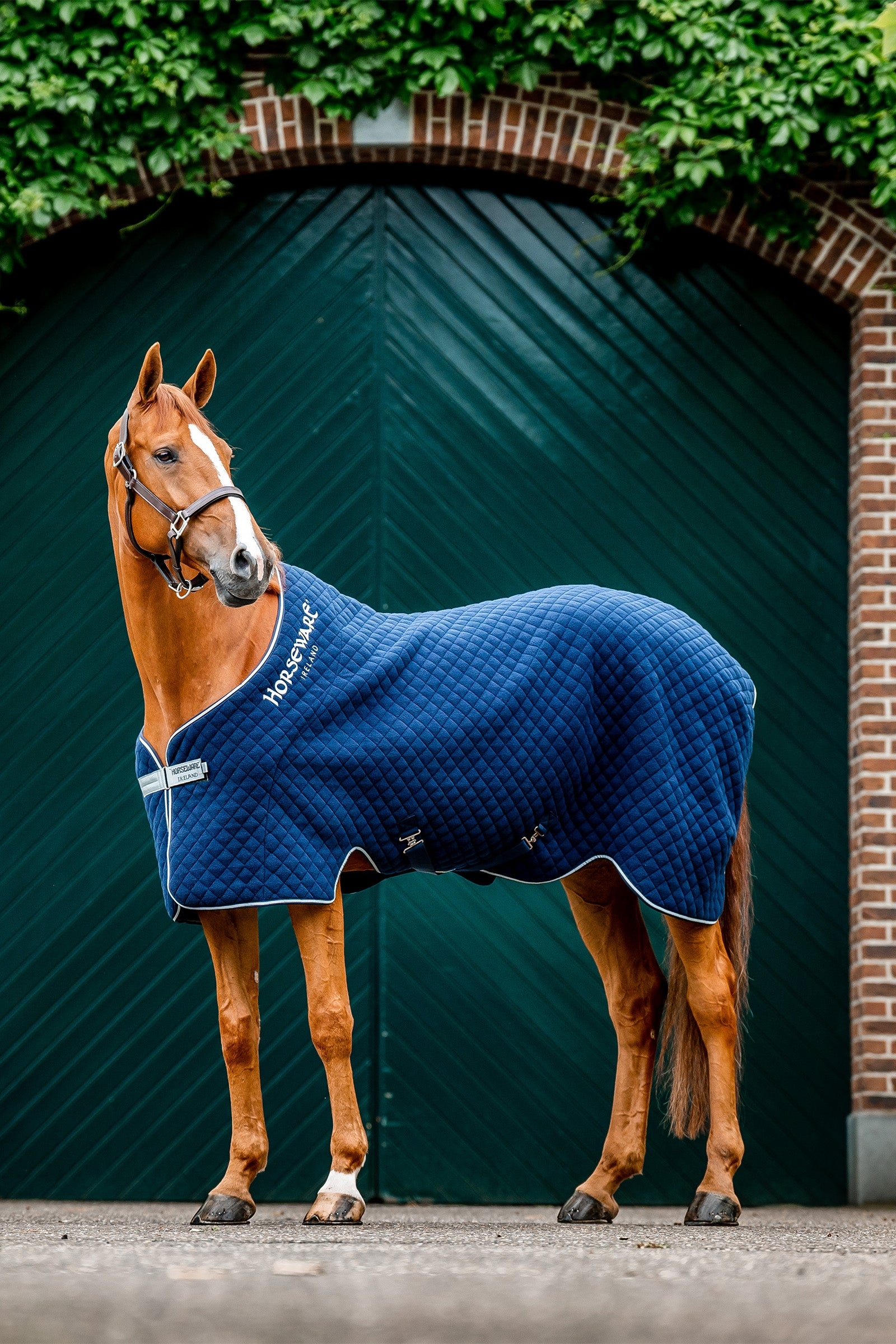 Horseware Autumn cooler Dekken