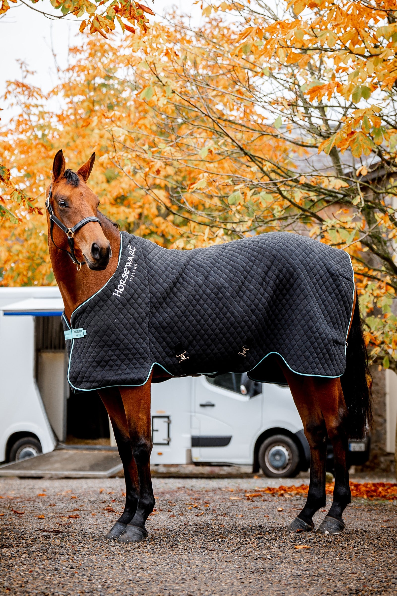 Horseware Autumn cooler Dekken