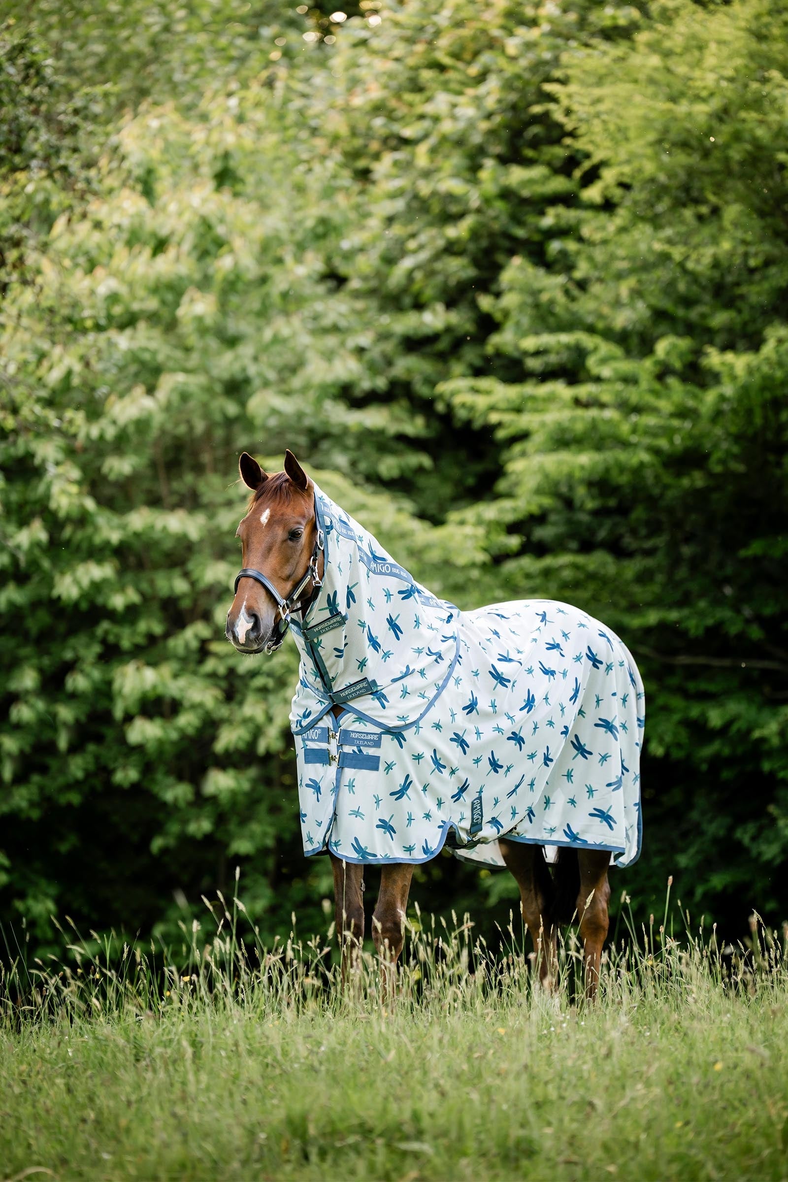 Horseware Amigo Fluedekken Plus Dekken