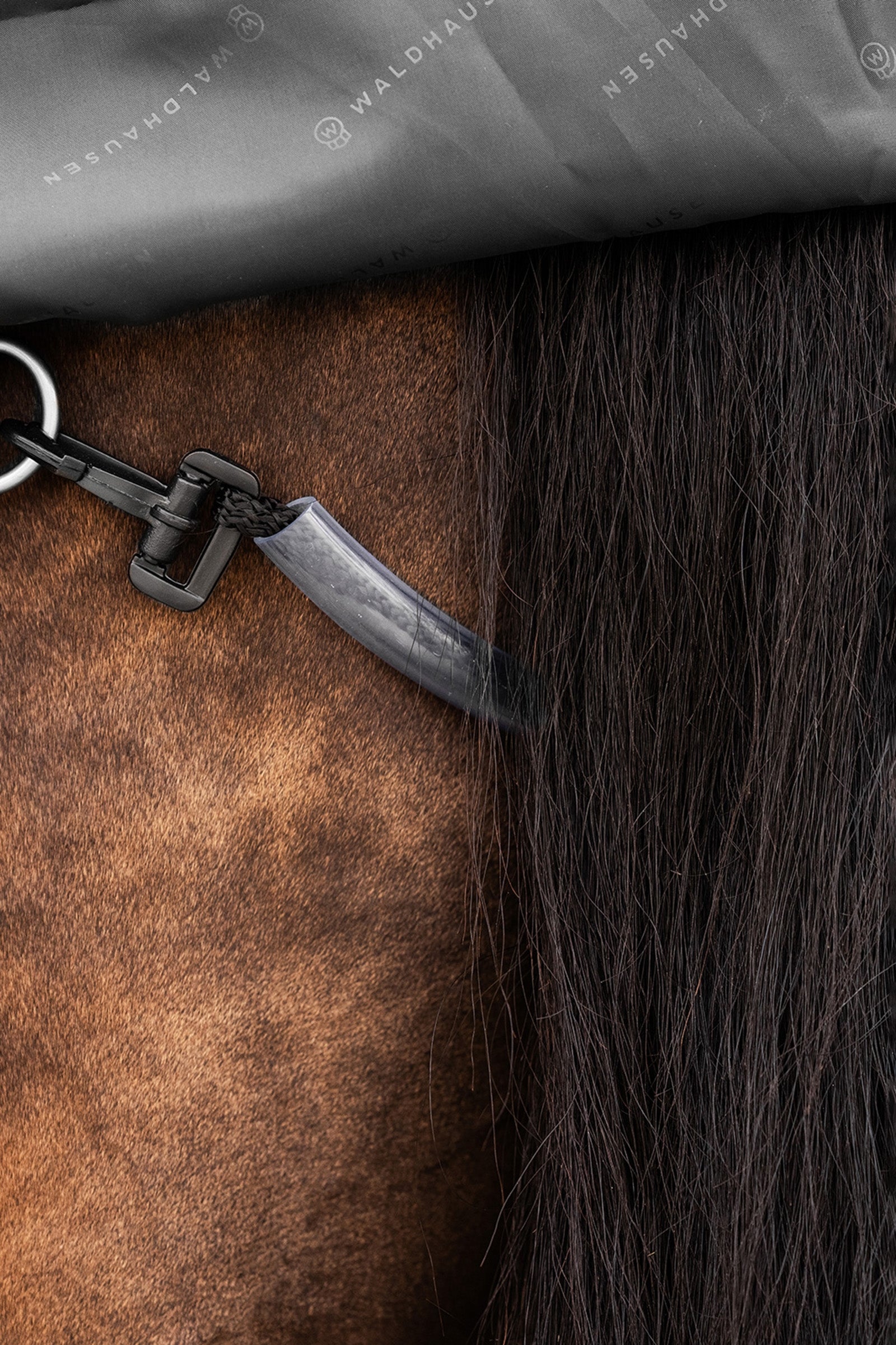 Waldhausen Outdoor Rug Scandic 300 g Horse Rugs