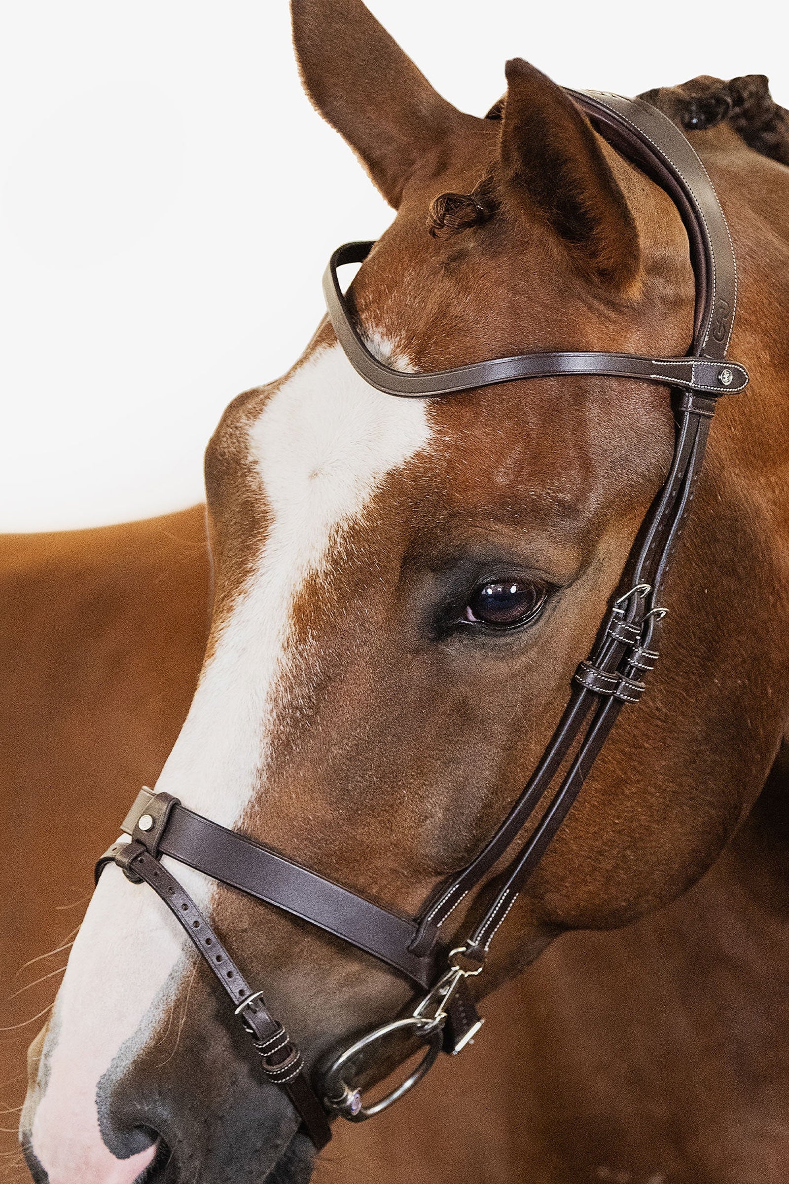 PS of Sweden London Bridle Hodelag & Tøyler