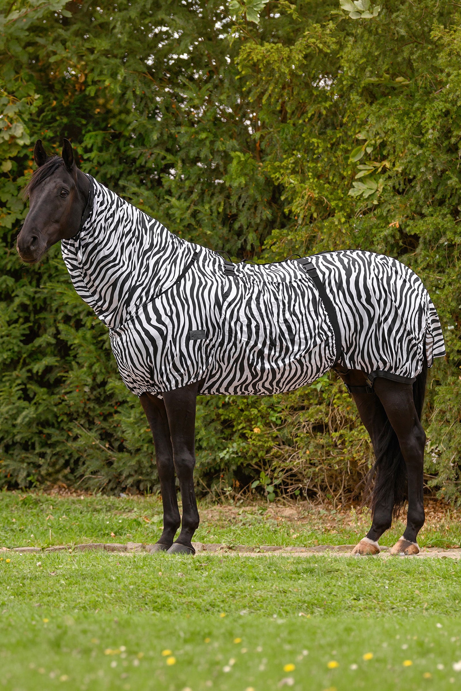 Waldhausen Basic zebra eksemdekken med UV-beskyttelse Dekken