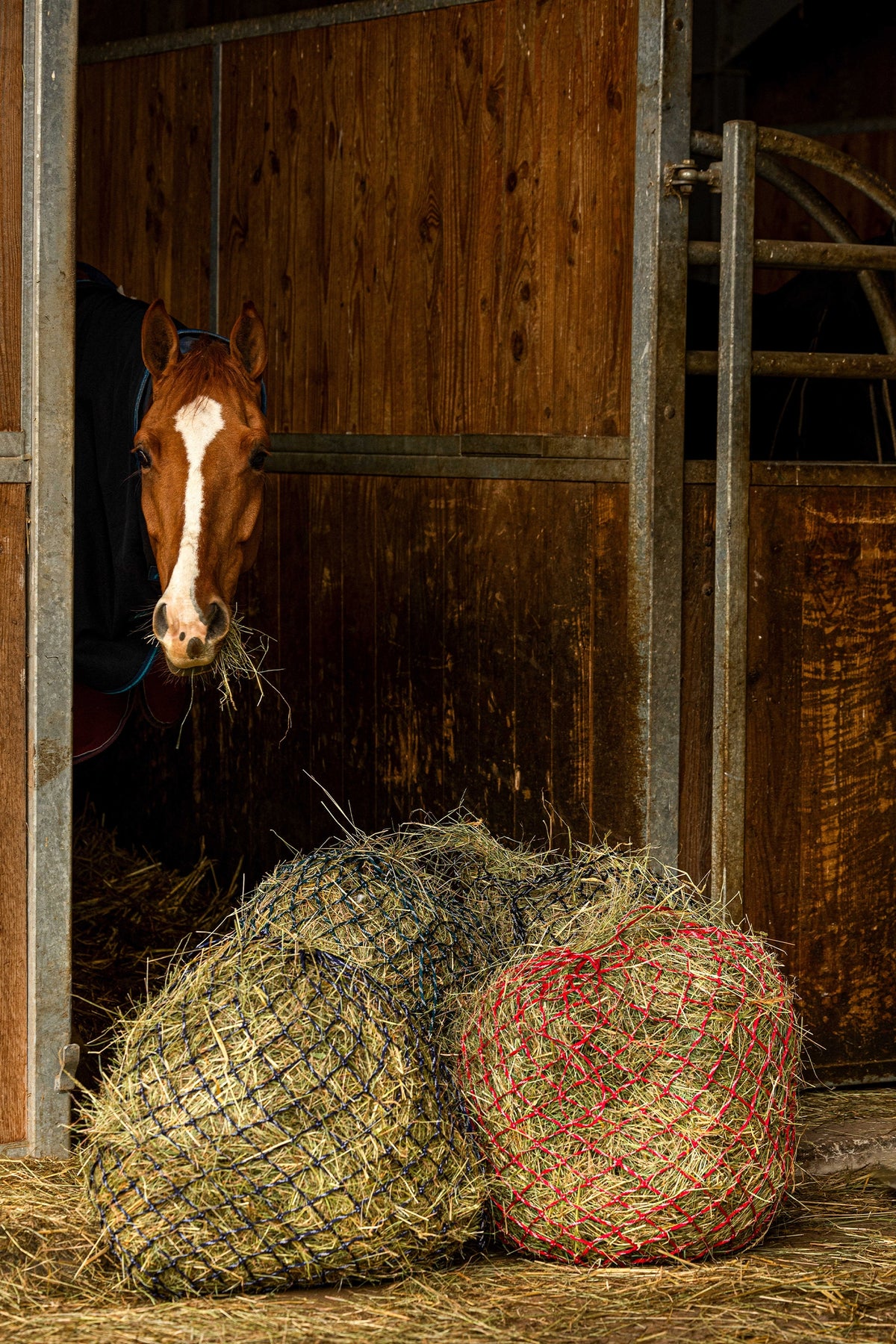 HIPPOTONIC ZARI Høynett (105 cm), 5 x 5 mesh Vanning og fôring