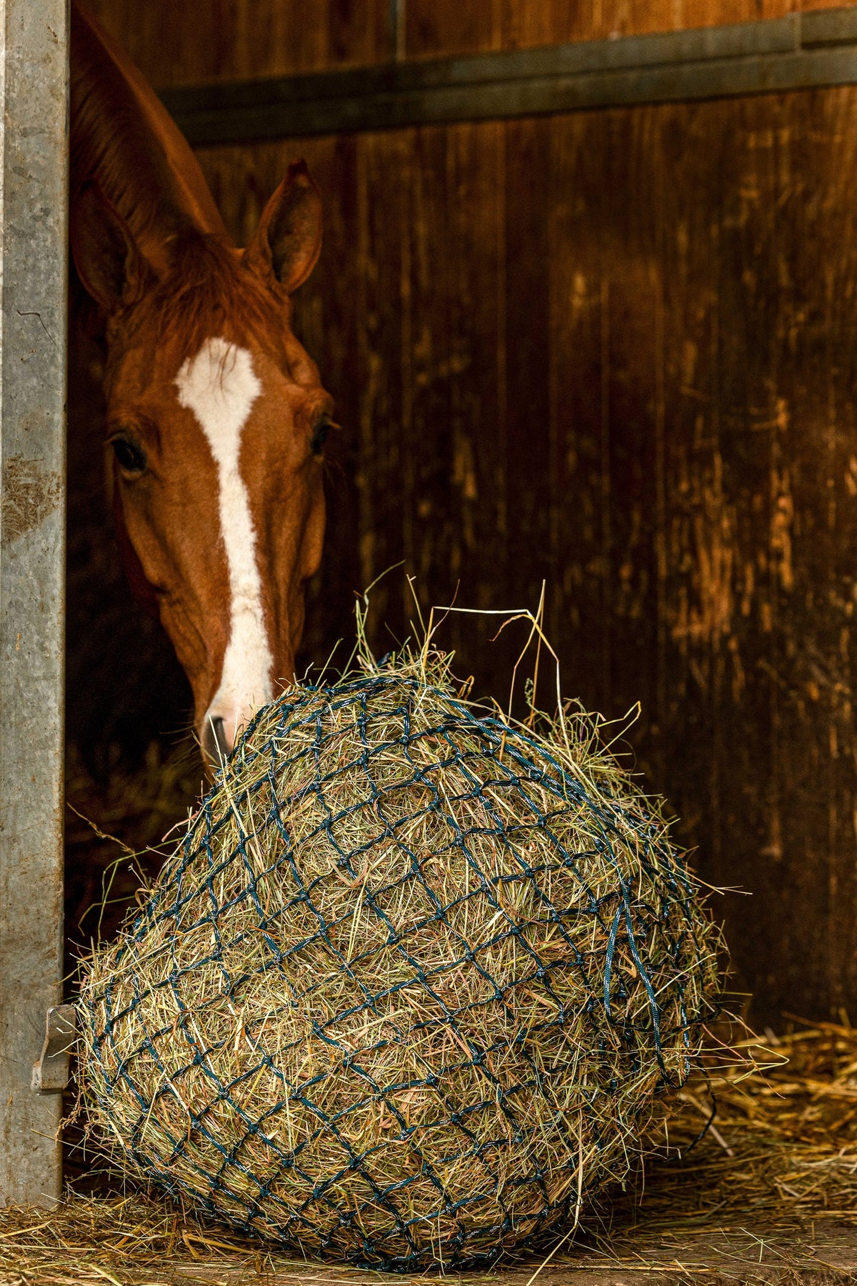 HIPPOTONIC ZARI Høynett (105 cm), 5 x 5 mesh Vanning og fôring