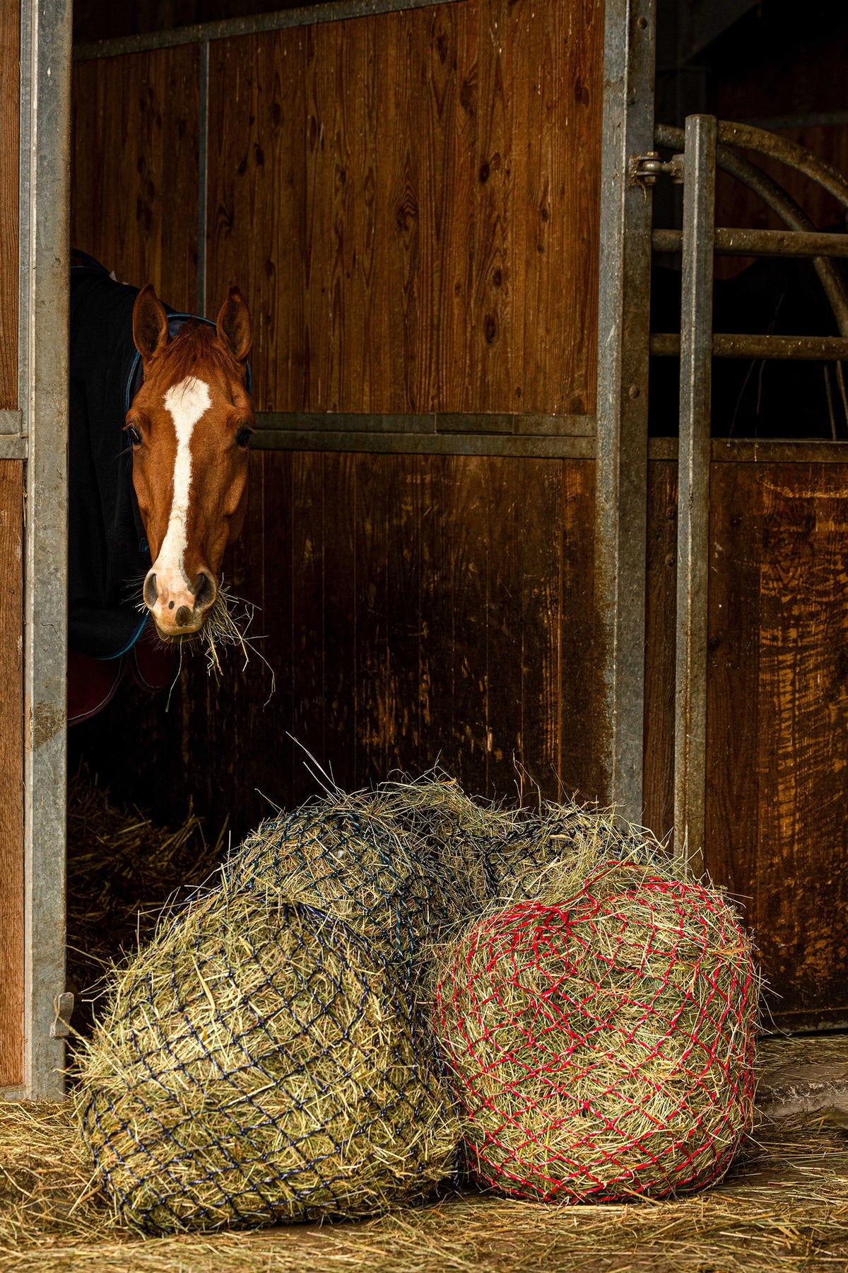 HIPPOTONIC ZARI Høynett (105 cm), 5 x 5 mesh Vanning og fôring