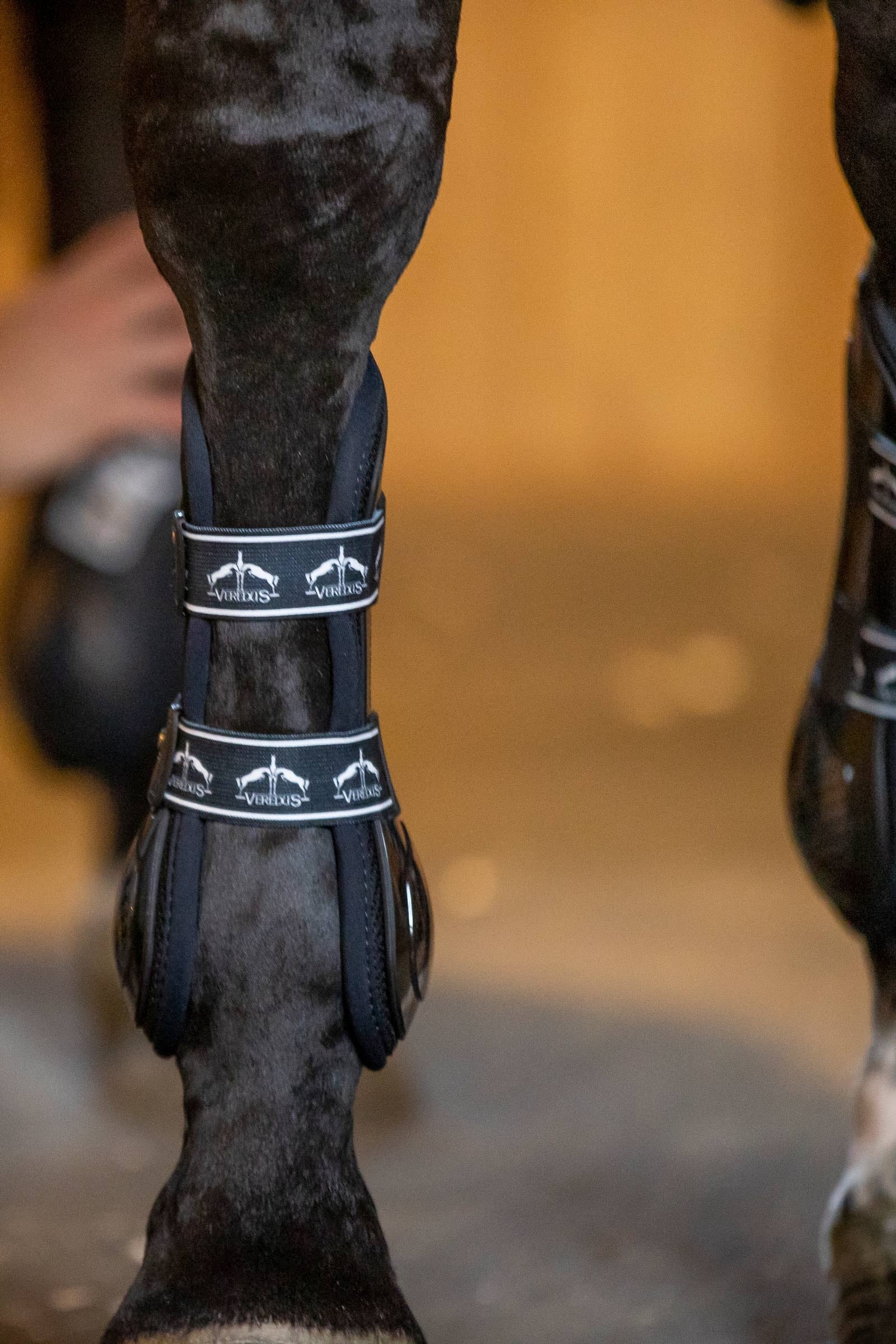 Veredus Carbon Gel Absolute Tendon Boots Leg & Hoof Protection