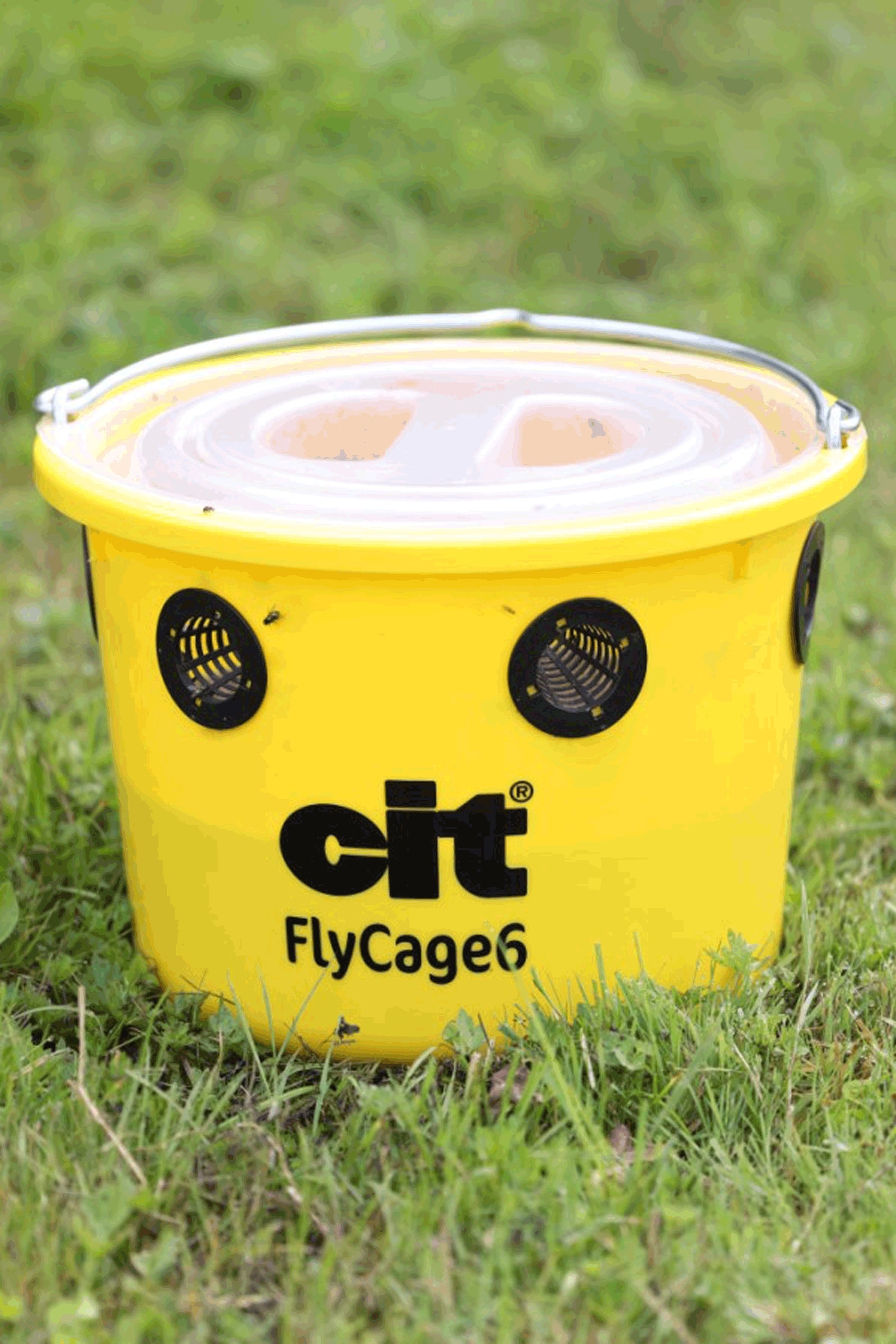 cit FlyCage 6 Fly Trap, Set incl. 750 g Attractant Antifly Protection for Horses