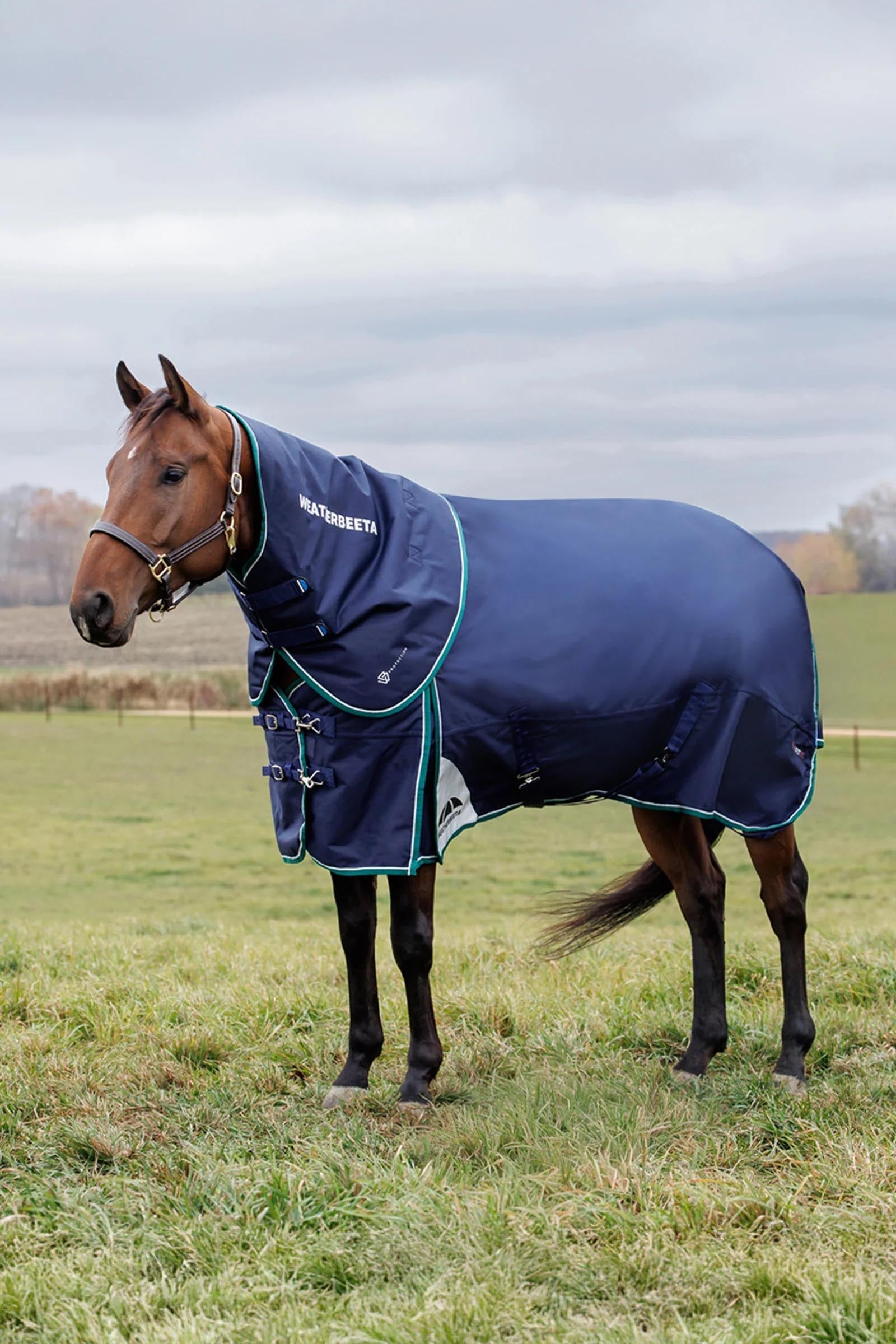 Weatherbeeta Comfitec Plus Dynamic Turnout Rug Detach-A-Neck 360g Horse Rugs