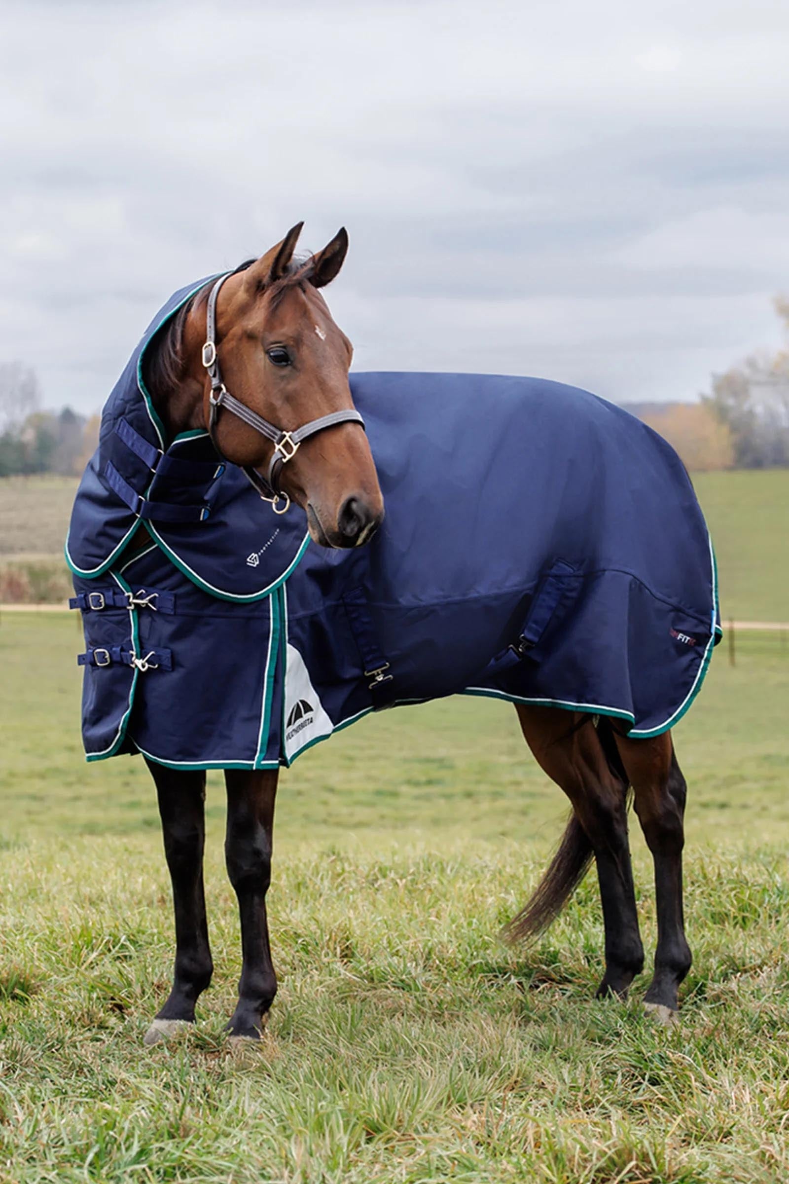 Weatherbeeta Comfitec Plus Dynamic Turnout Rug Detach-A-Neck 360g Horse Rugs