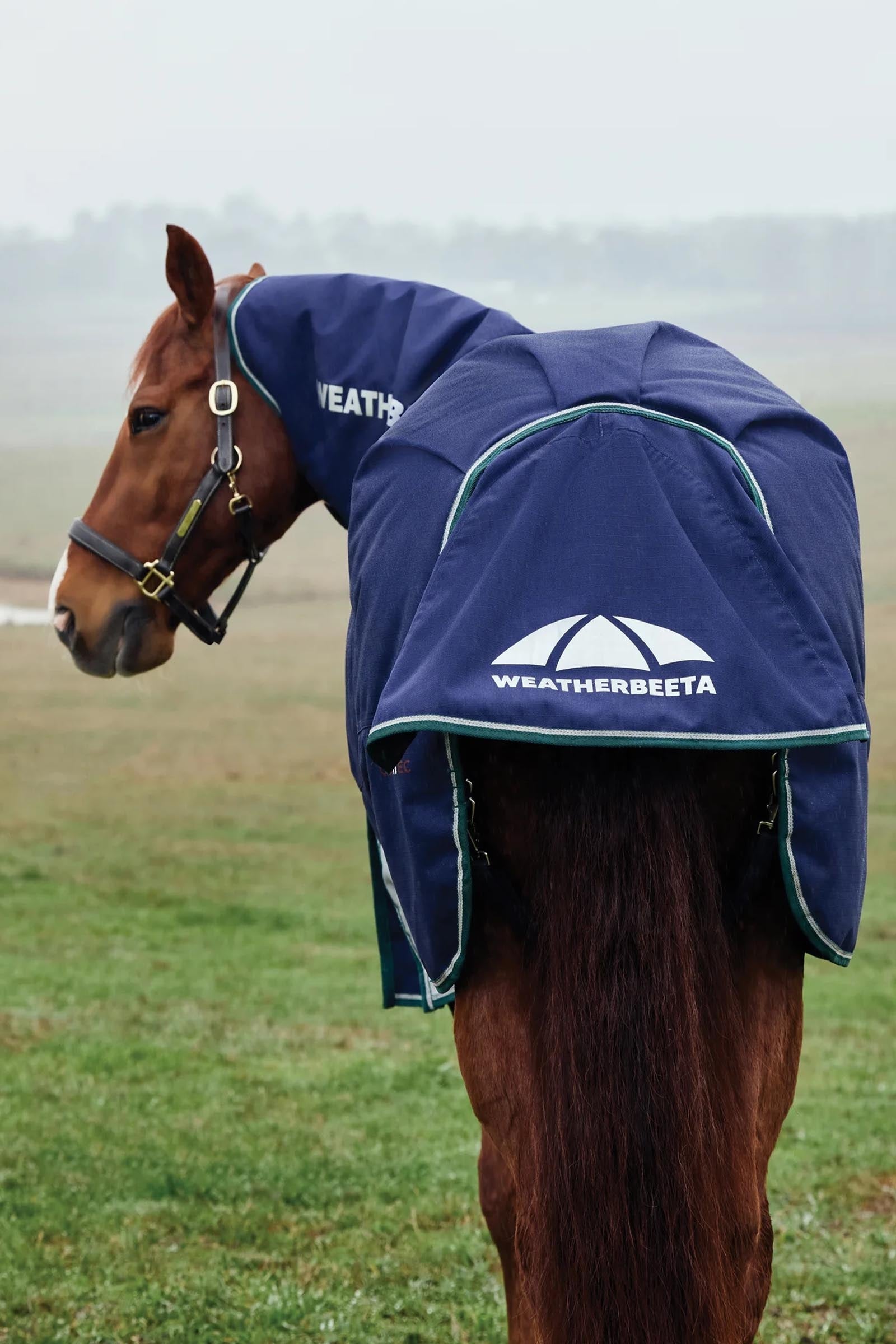 Weatherbeeta Comfitec Plus Dynamic Turnout Rug Detach-A-Neck 360g Horse Rugs