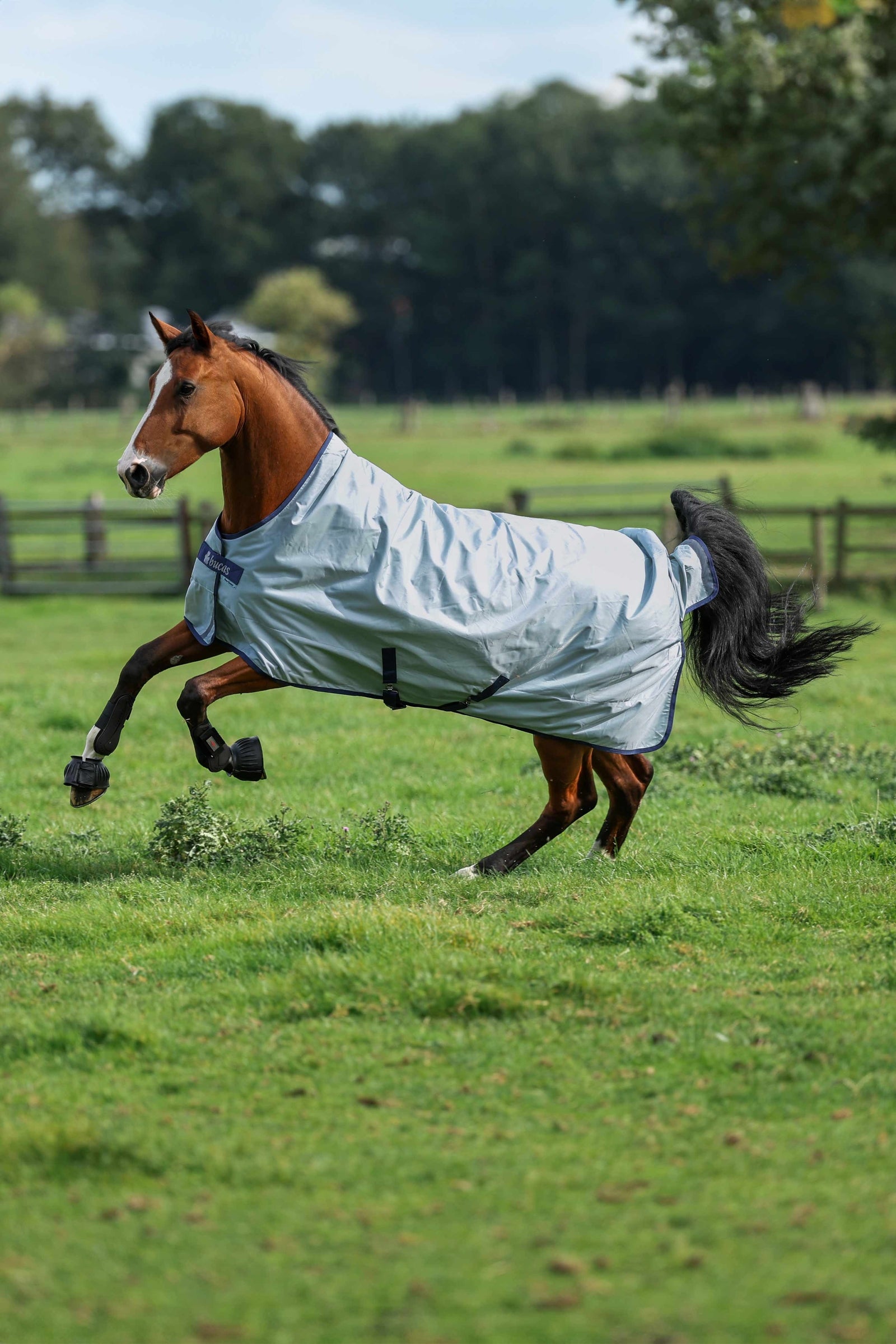 Bucas Power Turnout Light with High Neck, 0 g Horse Rugs