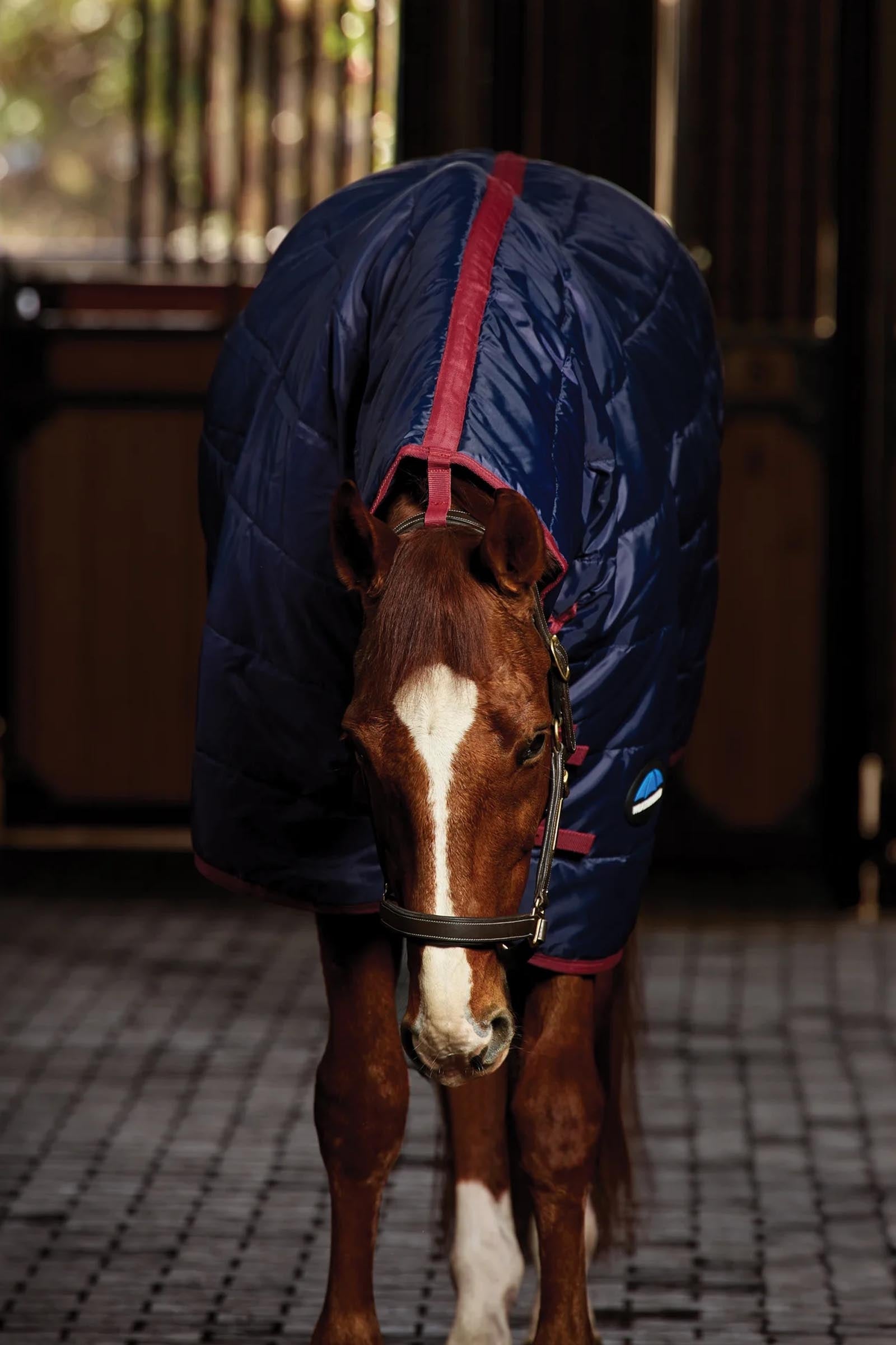 Weatherbeeta Stable Rug Combo 220g Horse Rugs
