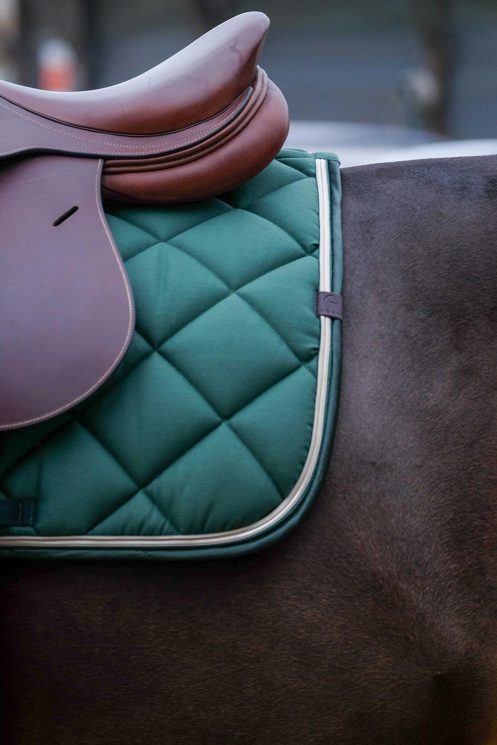 EQUITHÈME Classic Saddle Pad Saddle Pads