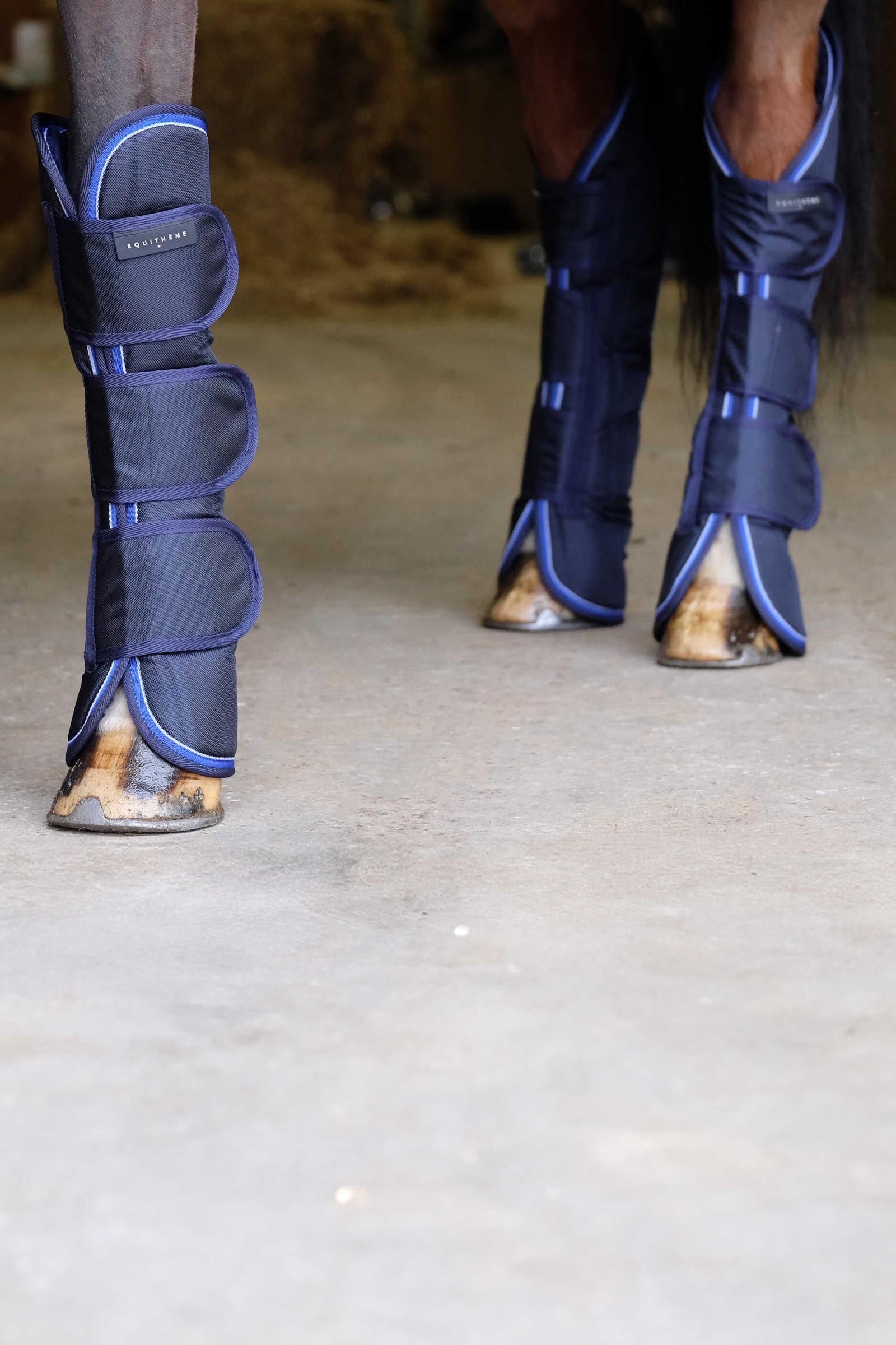Equi Theme EQUITHÈME TYREX 1680D Transport Boots Leg & Hoof Protection