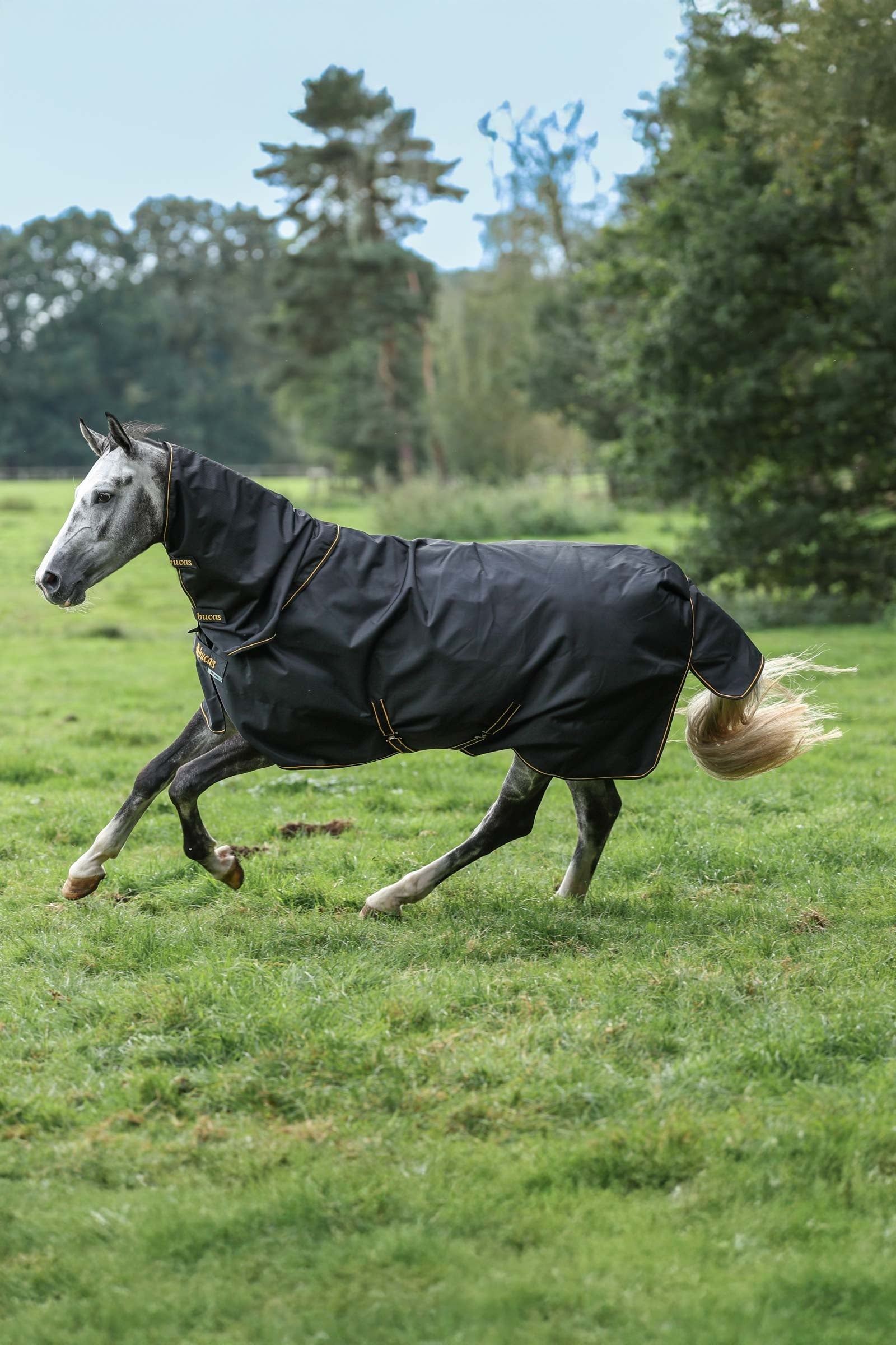 Bucas Irish Turnout 150 g Rug & Neck Set Dekken