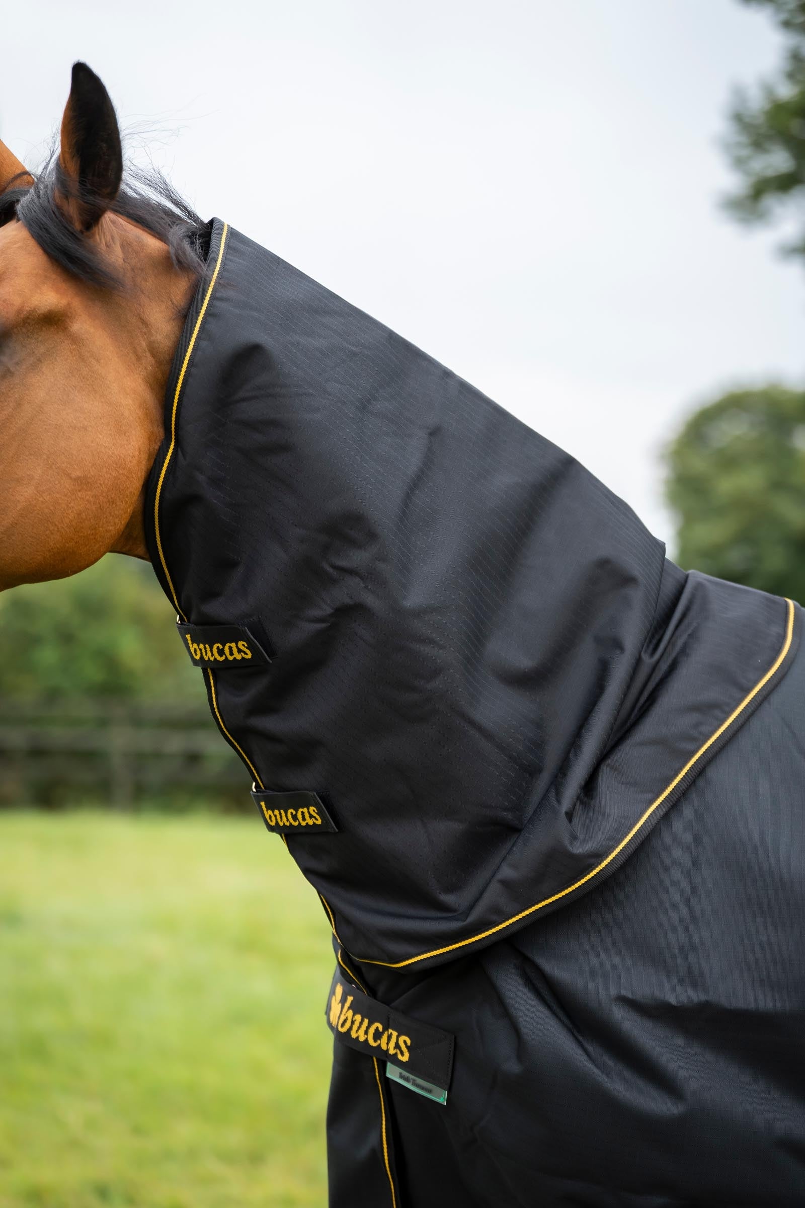 Bucas Irish Turnout 150 g Rug & Neck Set Horse Rugs