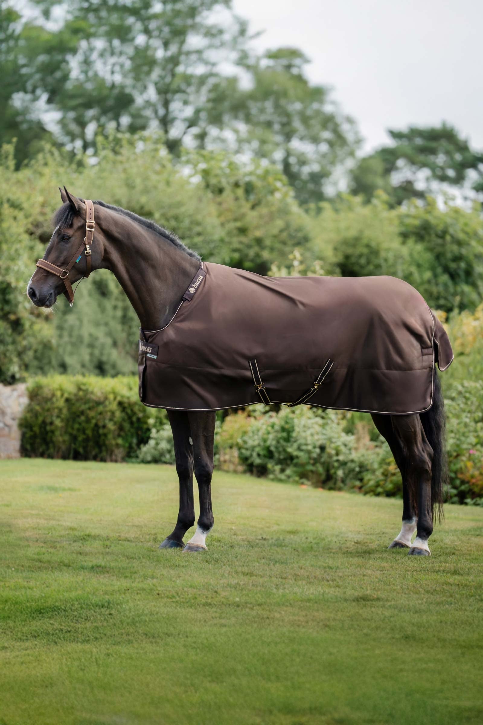 Bucas Irish Turnout 150 g Rug & Neck Set Dekken