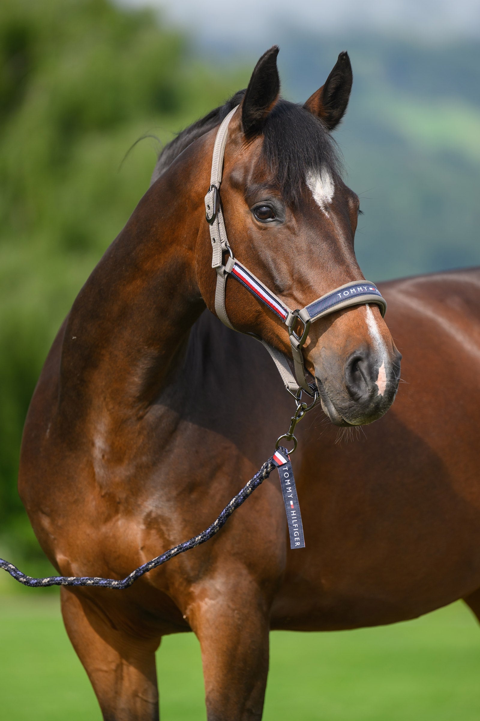 Tommy Hilfiger Equestrian Yale grime- og leietausett Grimer og leietau