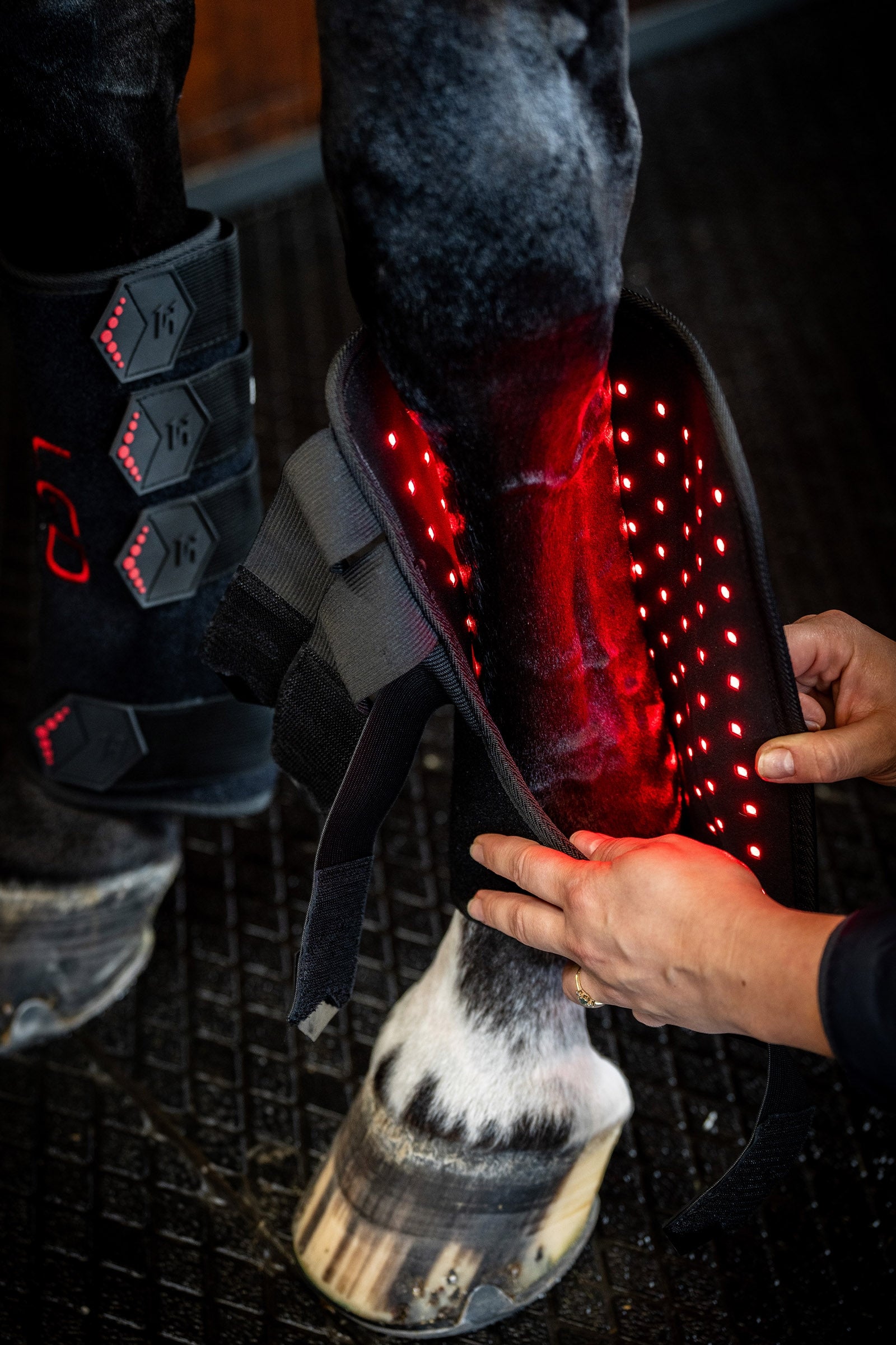 Lifestyle shot 7